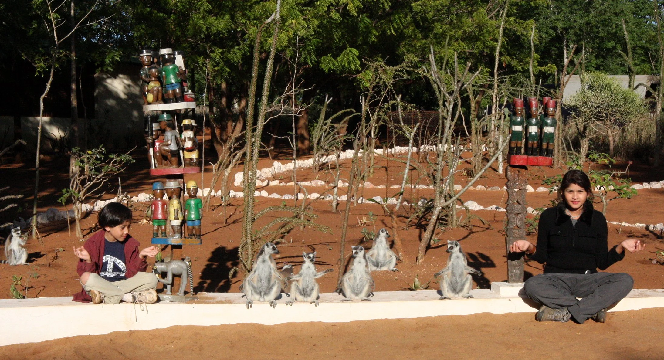 LEMURIDAE - Lemur catta - RING-TAILED LEMUR - BERENTY RESERVE MADAGASCAR (94).JPG