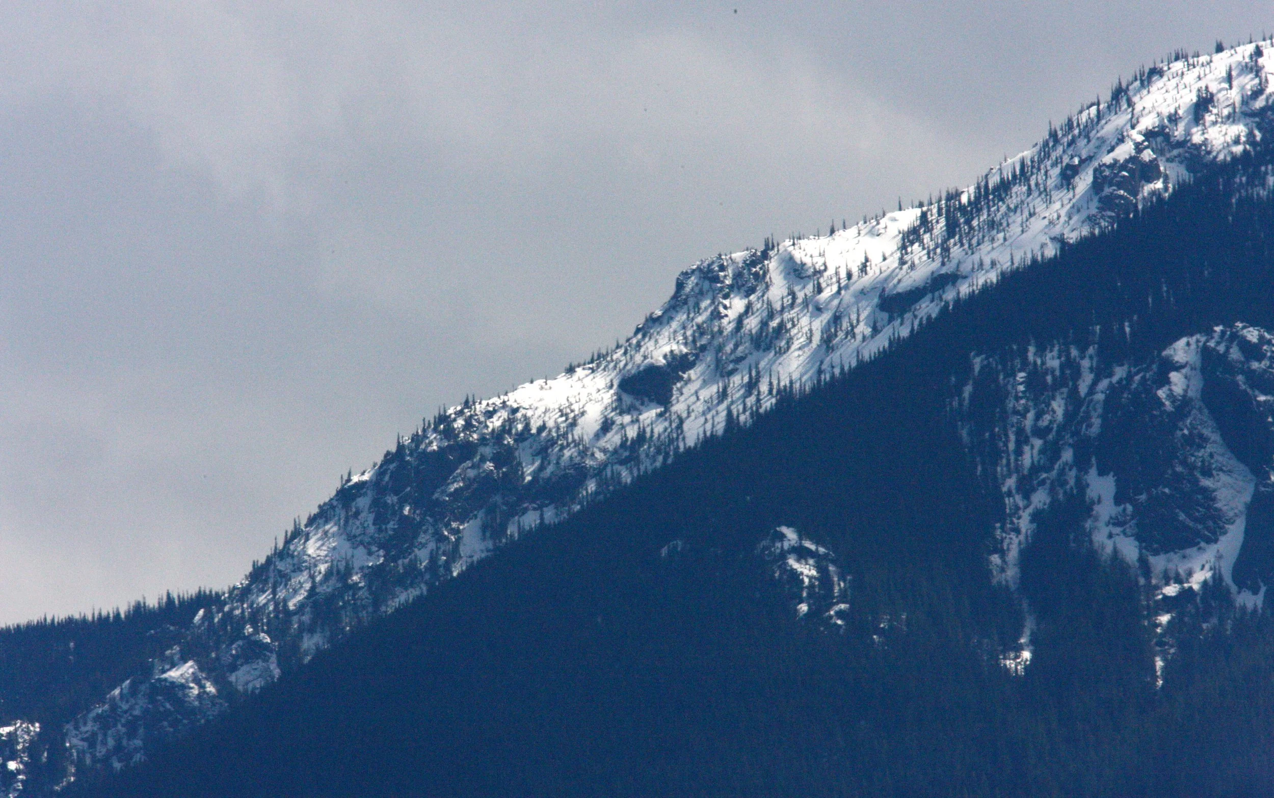 HURRICANE RIDGE - VIEW WITH 600MM LENS FROM EDIZ HOOK.JPG