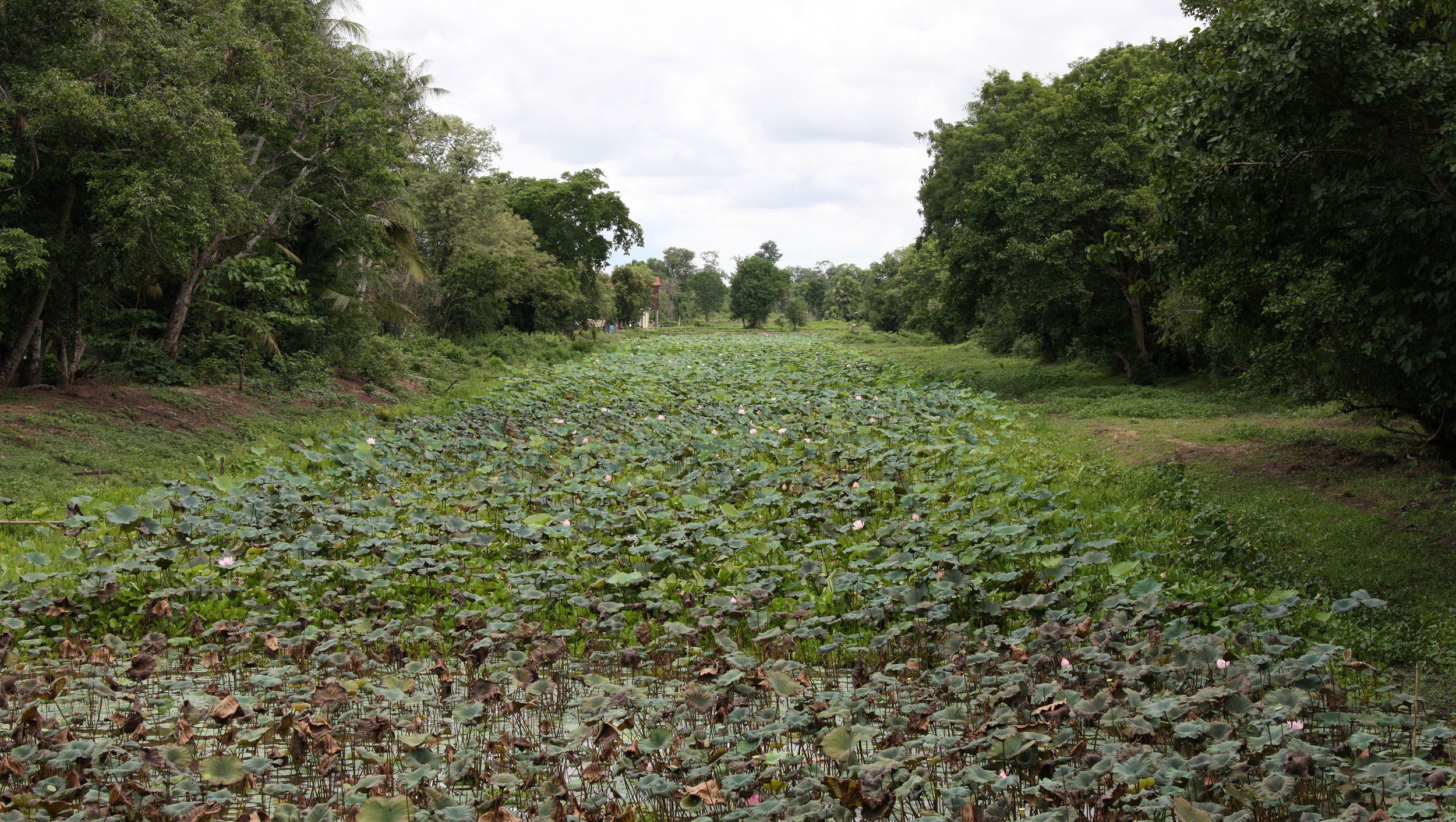 BENG MEALEA - CAMBODIA - JULY 2010 (1).JPG