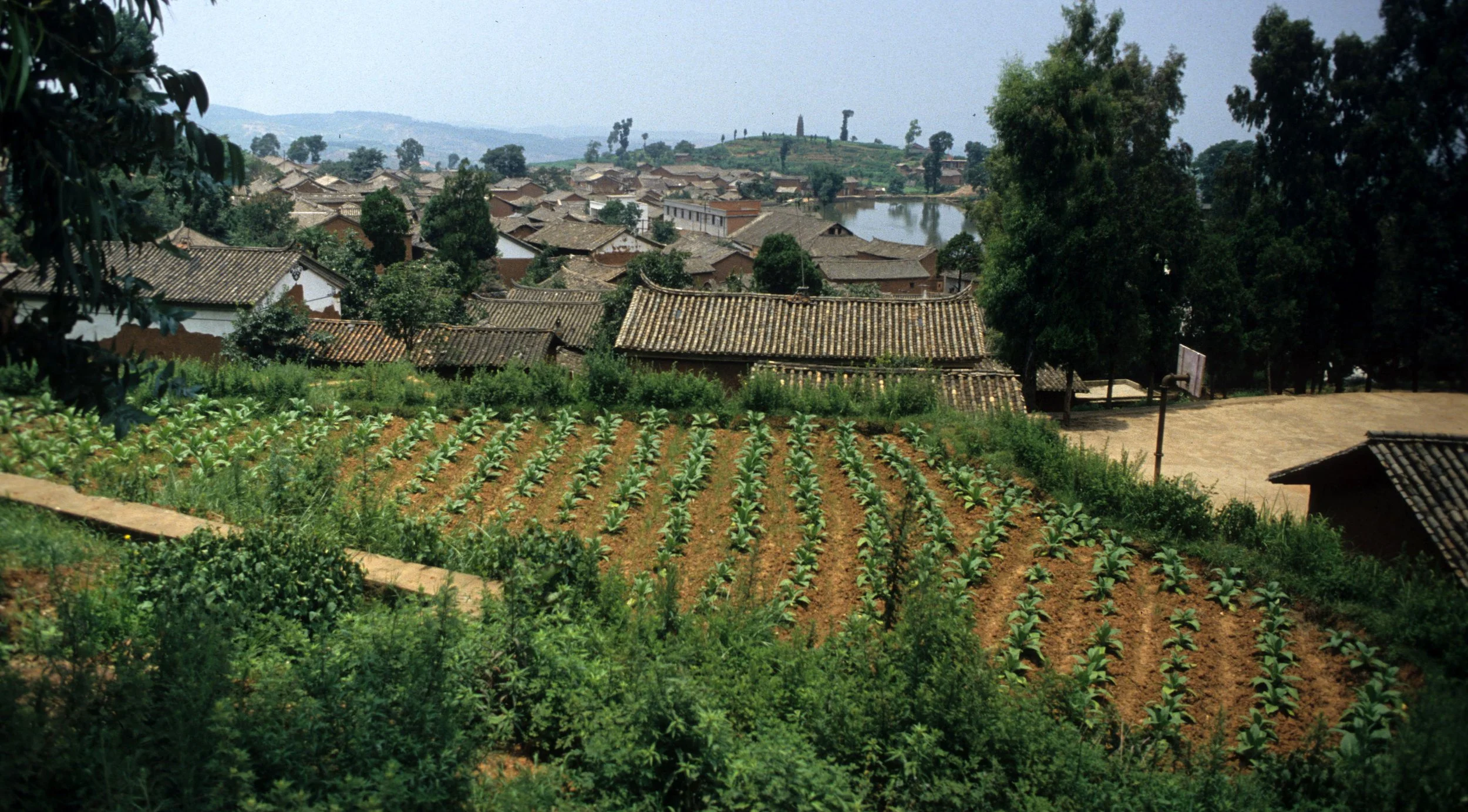 KUNMING - TIBETAN PLATEAU (14).jpg