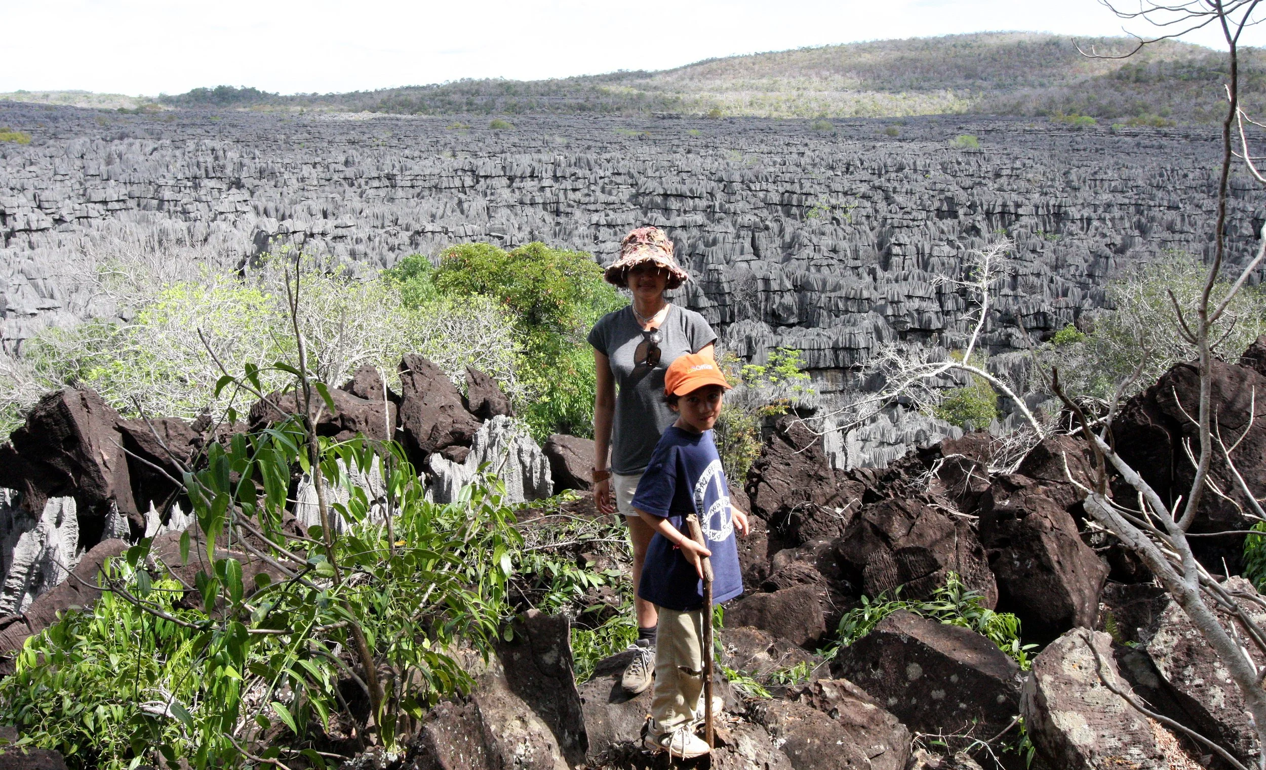 ANKARANA NATIONAL PARK MADAGASCAR - TSINGY FOREST (16).JPG