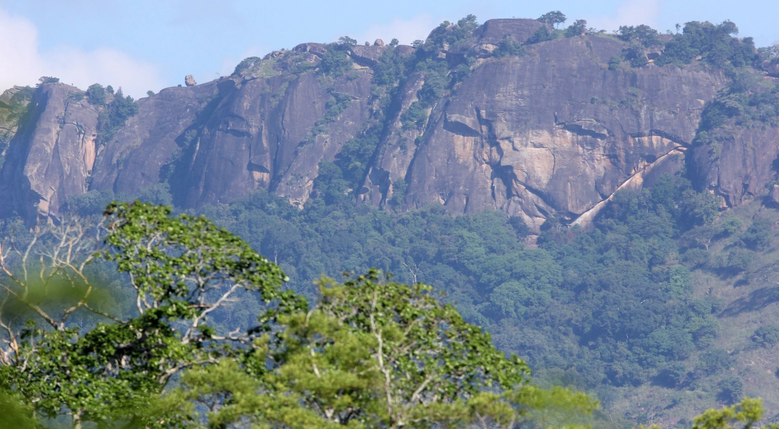 UDAWALAWA NATIONAL PARK SRI LANKA (27).JPG