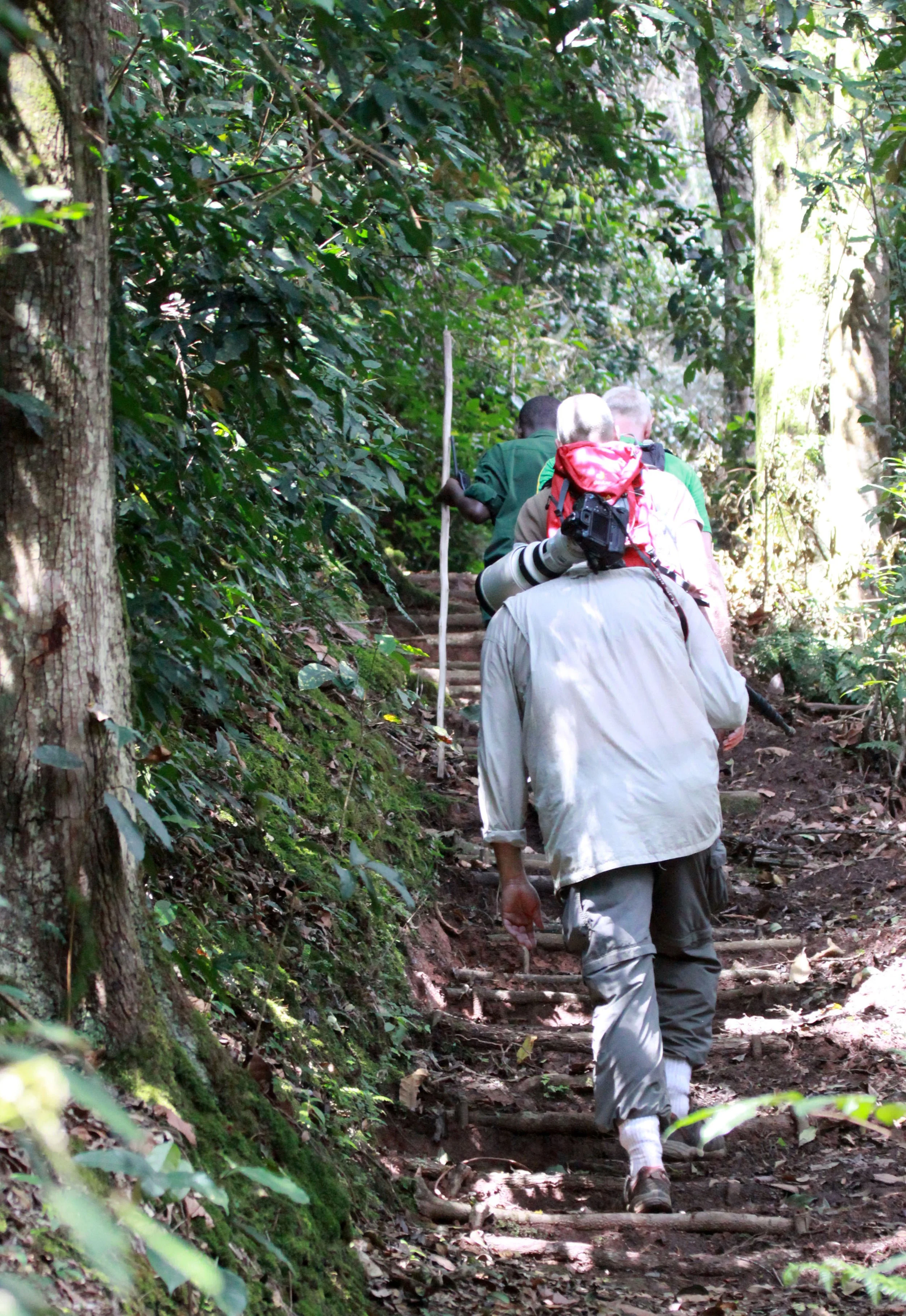 NYUNGWE NATIONAL PARK RWANDA (525).JPG
