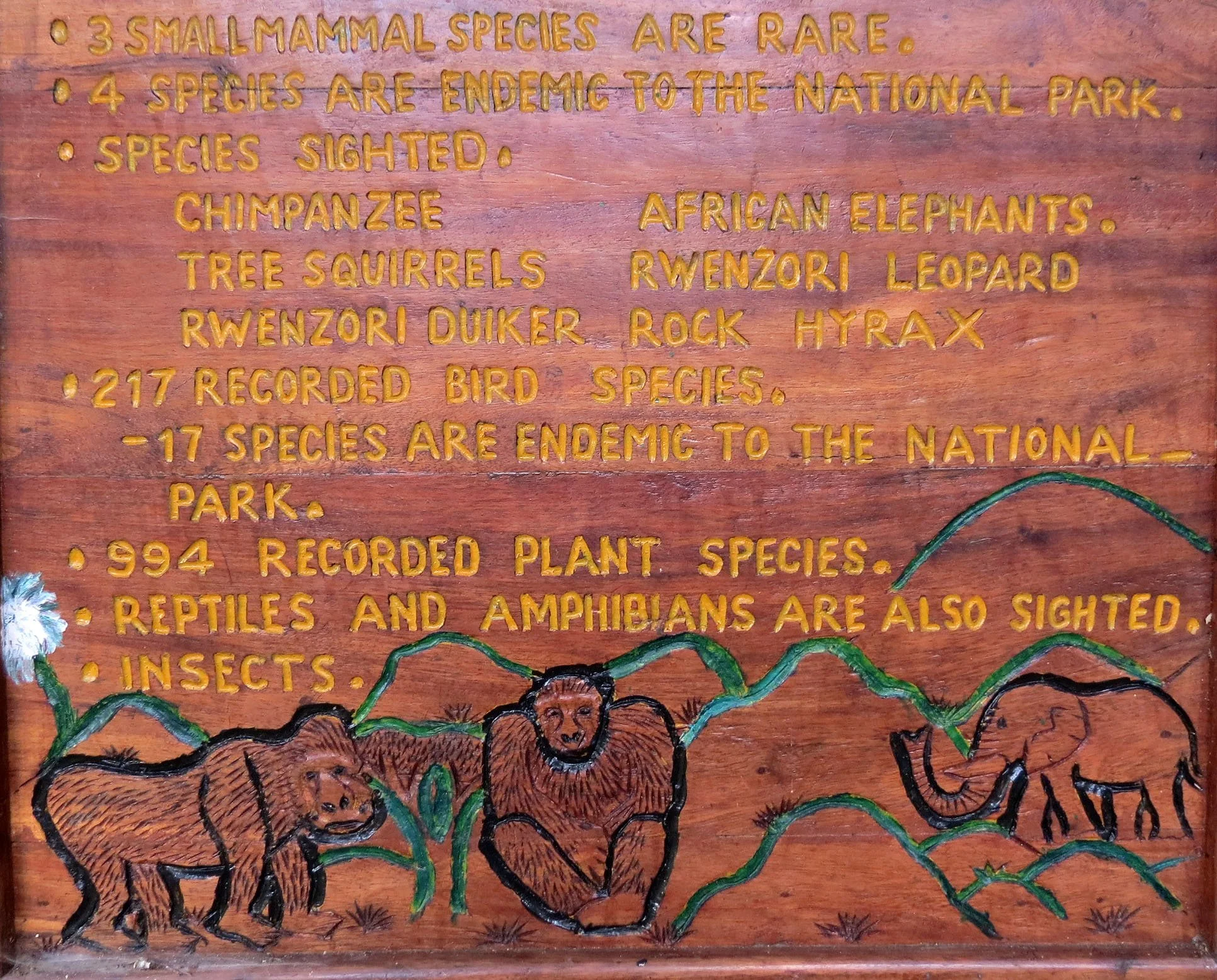 RWENZORI NATIONAL PARK UGANDA (10).JPG