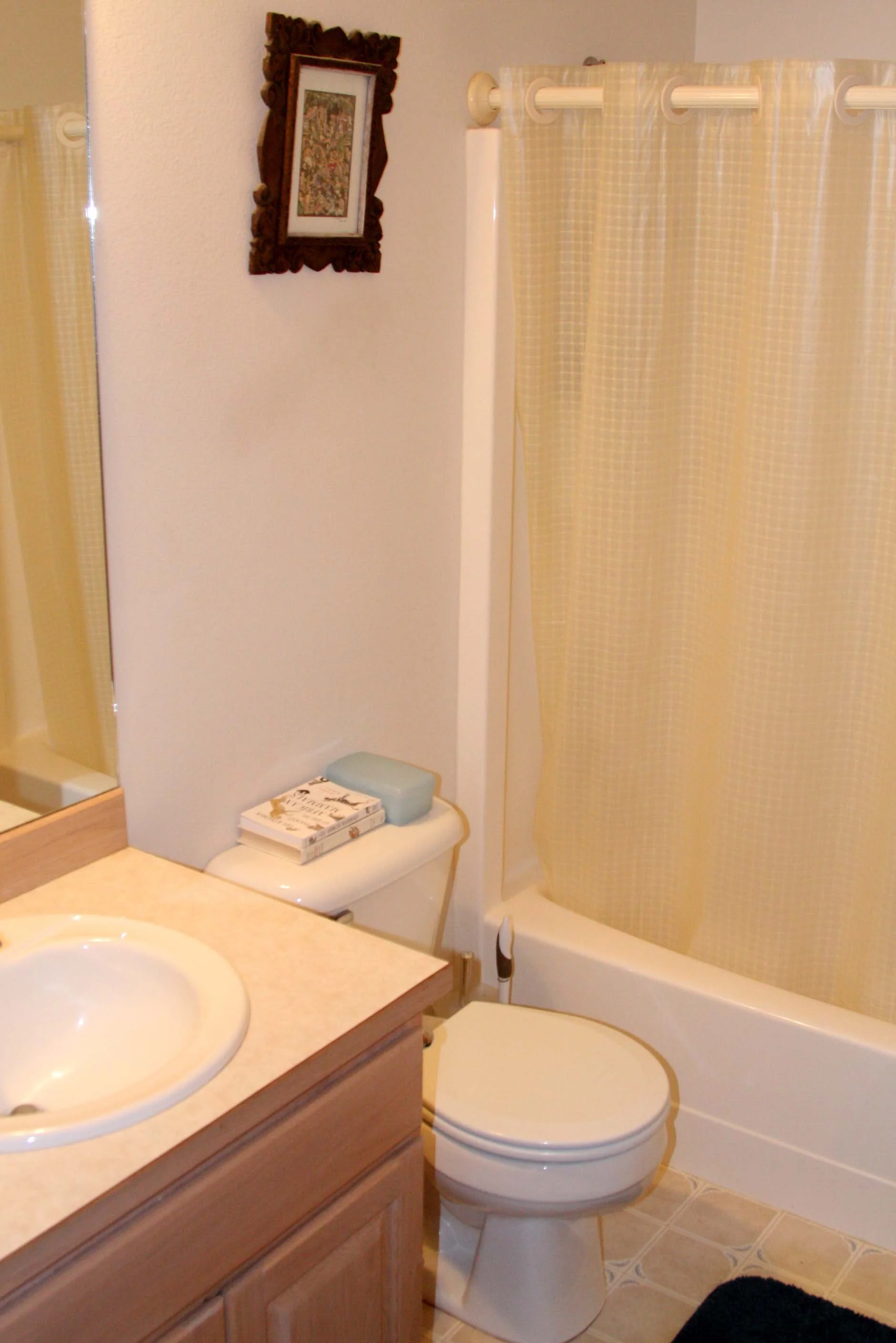 2009-4-24 - HOUSE - BATHROOM #2 - SECOND LEVEL (2).JPG