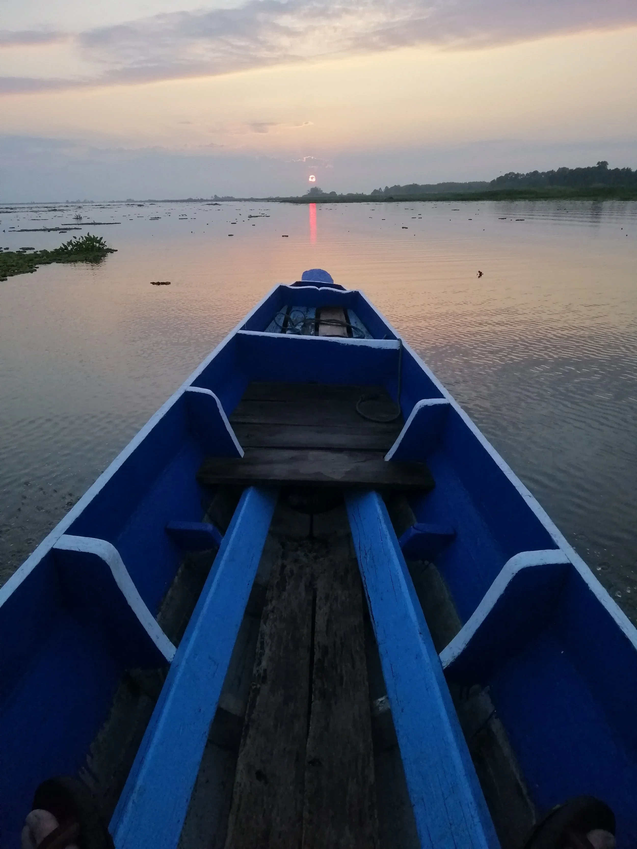 IMG_20181223_063655.jpg