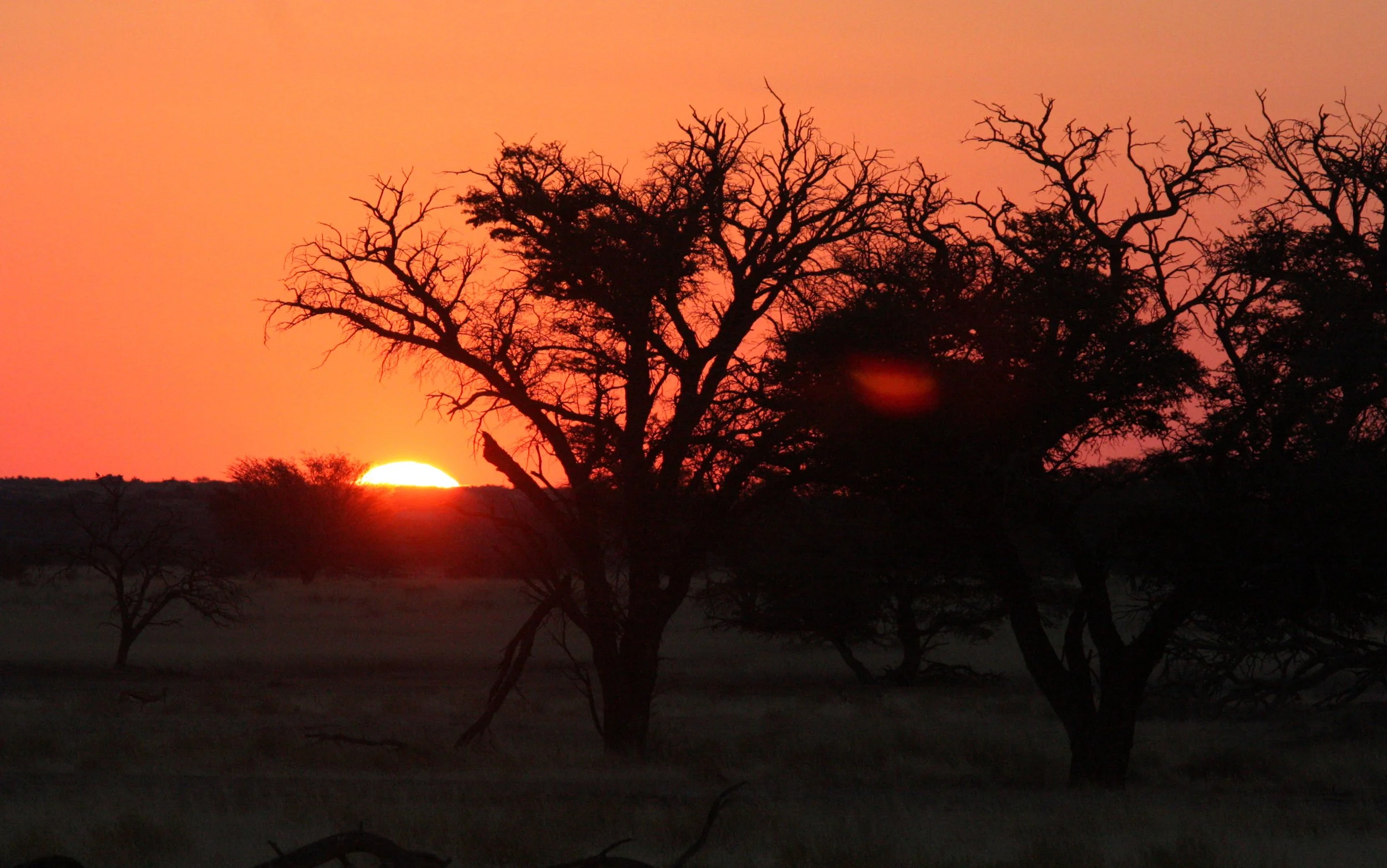 KALAHARI GEMSBOK NP - SUNSET ON THE KALAHARI.JPG