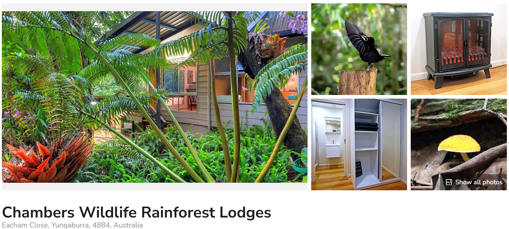 Chambers Wildlife Rainforest Lodge