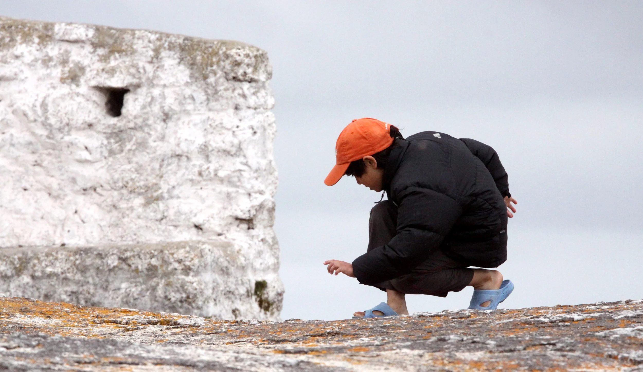 WEST COAST NATIONAL PARK SOUTH AFRICA - COKIE MESSING AROUND.JPG