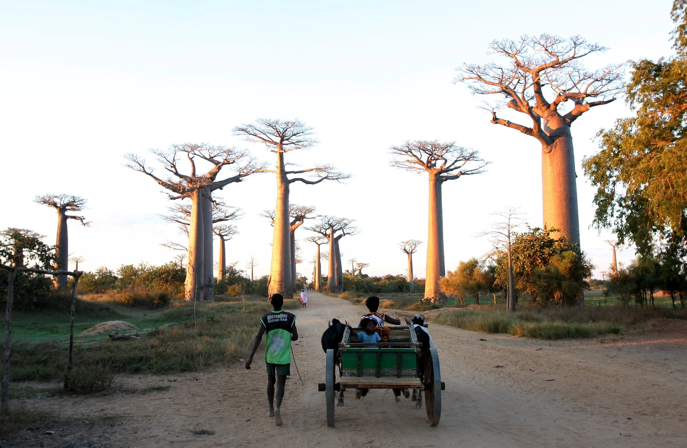 MORONDAVA MADAGASCAR - SCENES NEARBY (3).JPG