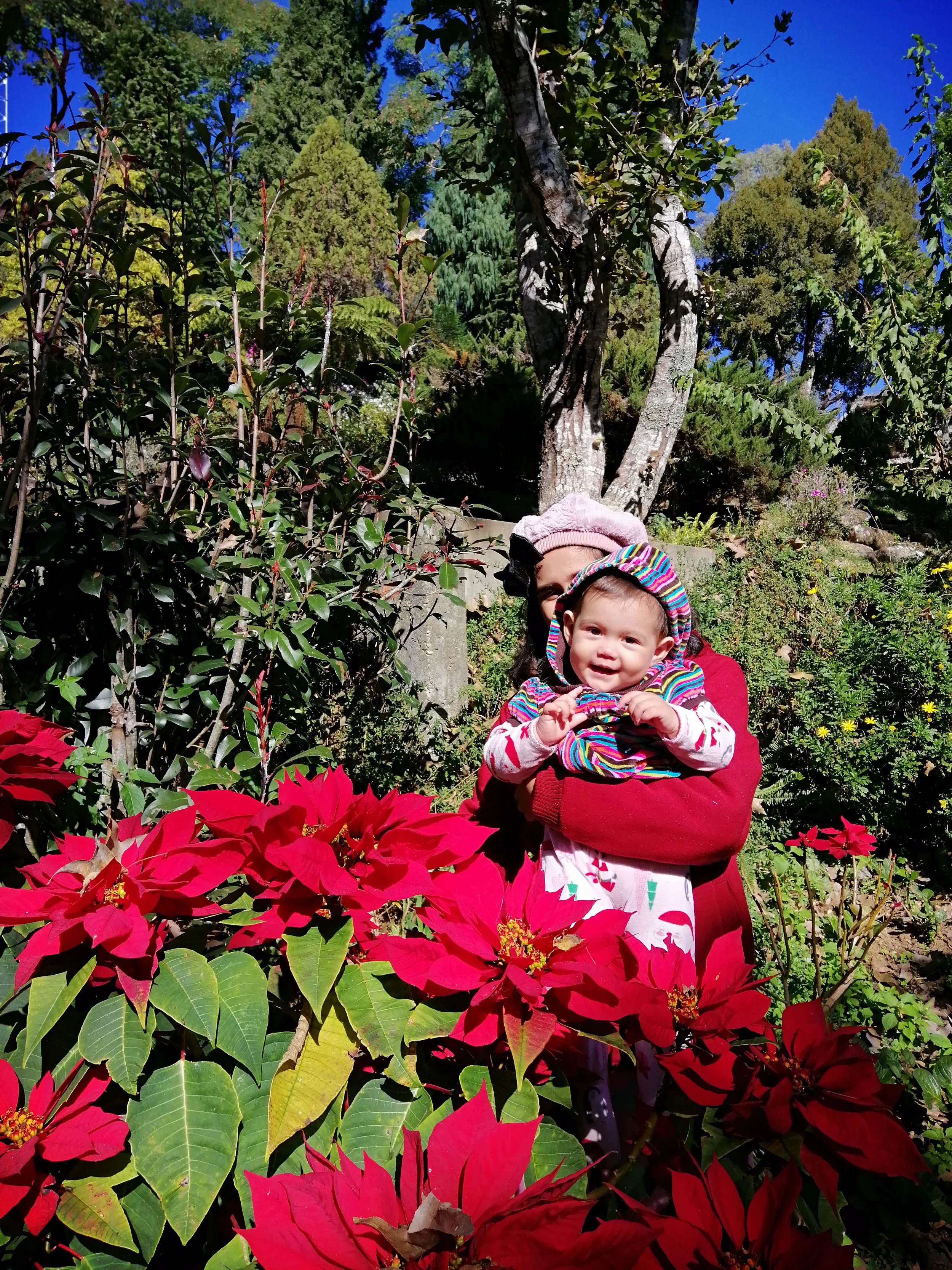 2020 Doi Inthanon Road Trip with Liana, Gift and Family (33).jpg