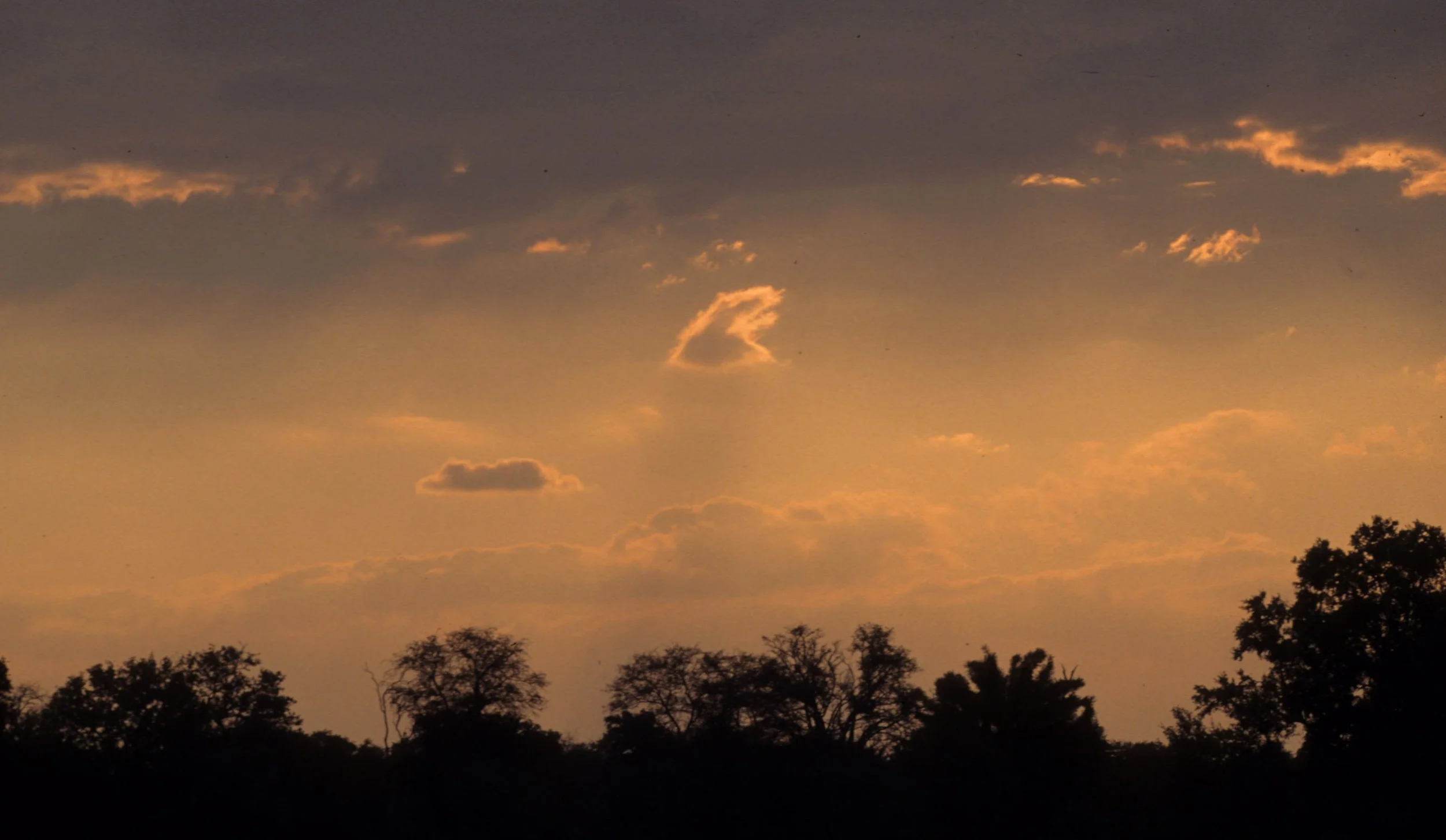 SERENGETI SUNSET 8.jpg