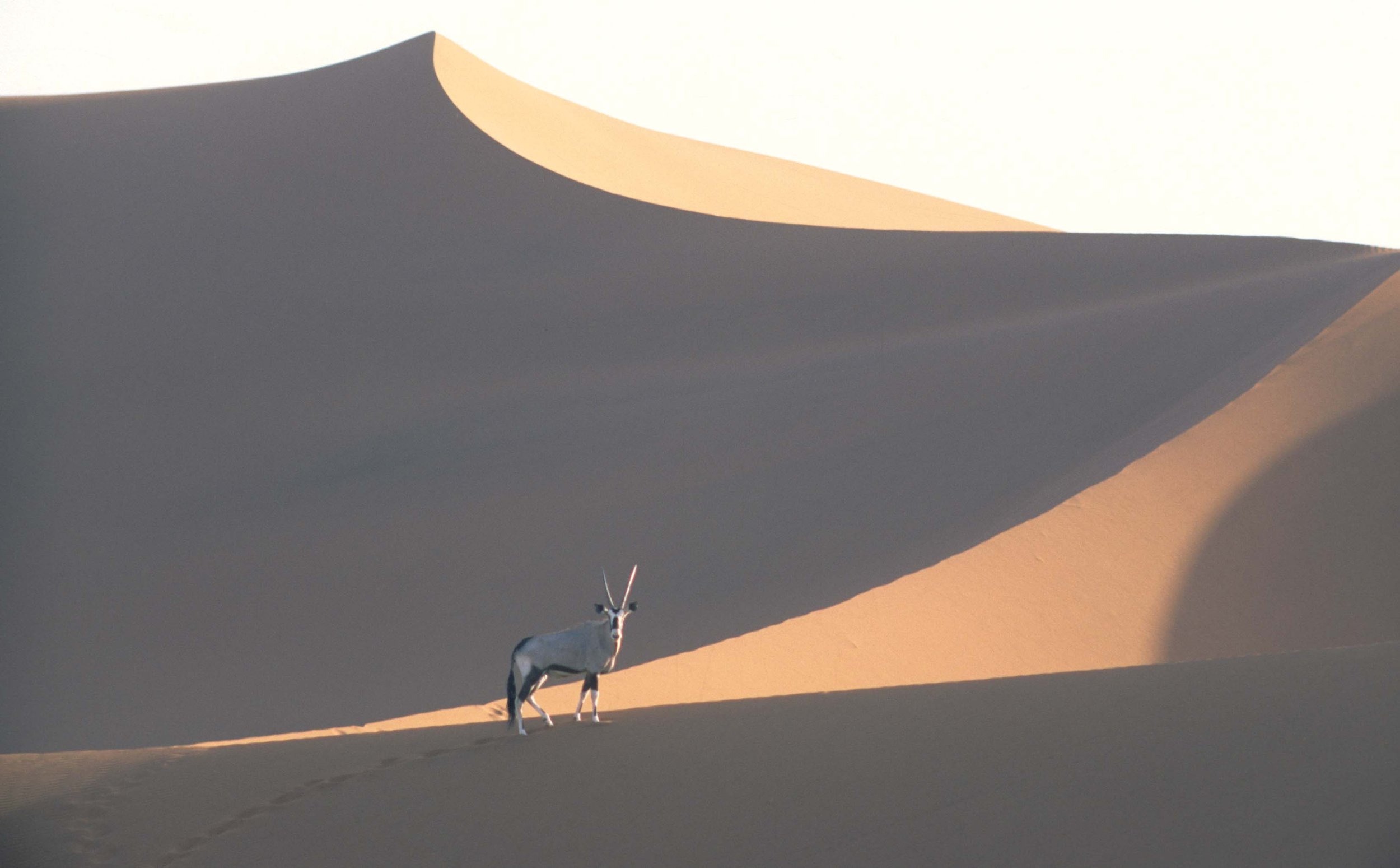 Namibia in the 90's!