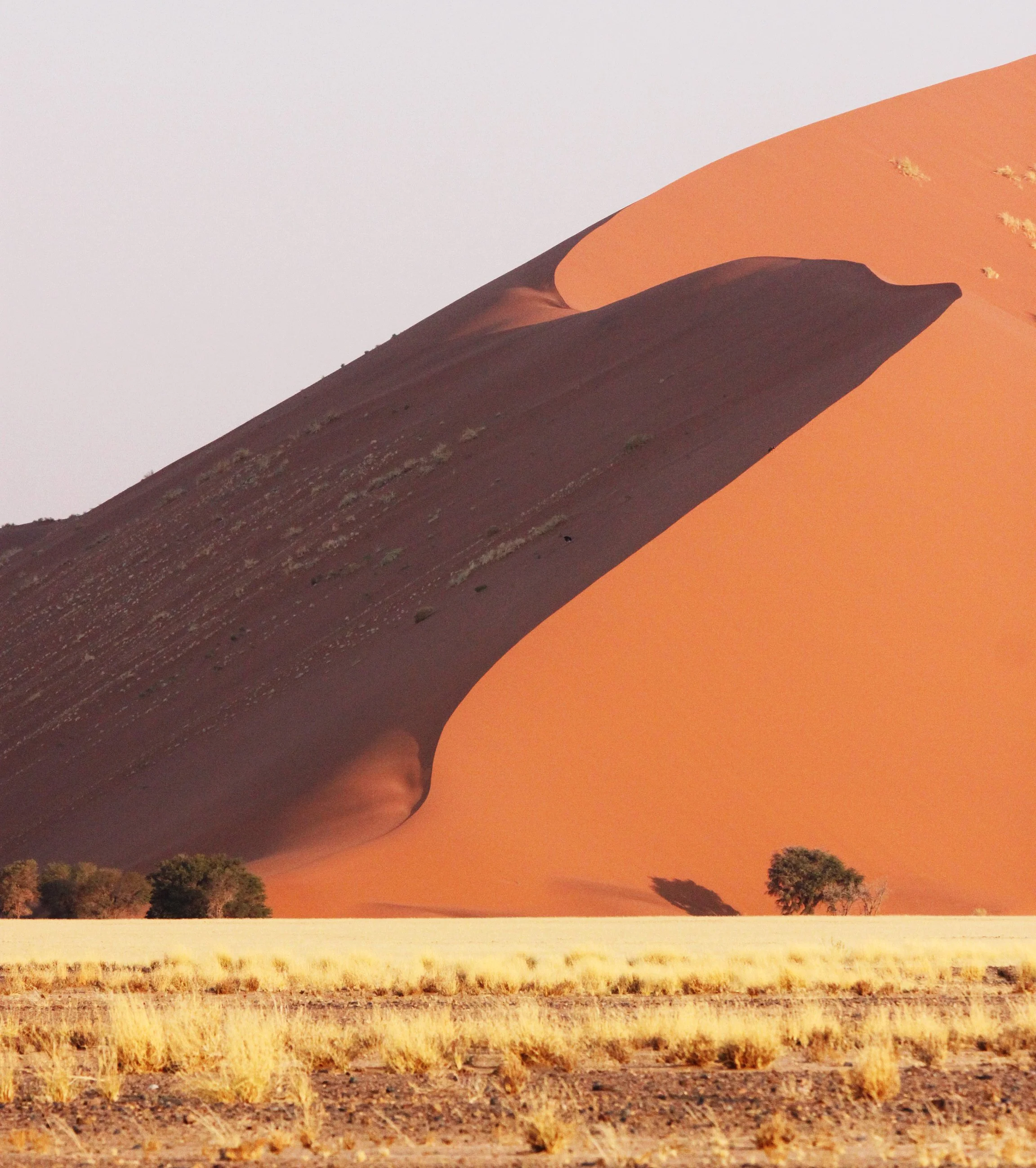 SOSSUSVLEI, NAMIB NAUKLUFT NATIONAL PARK, NAMIBIA (37).JPG