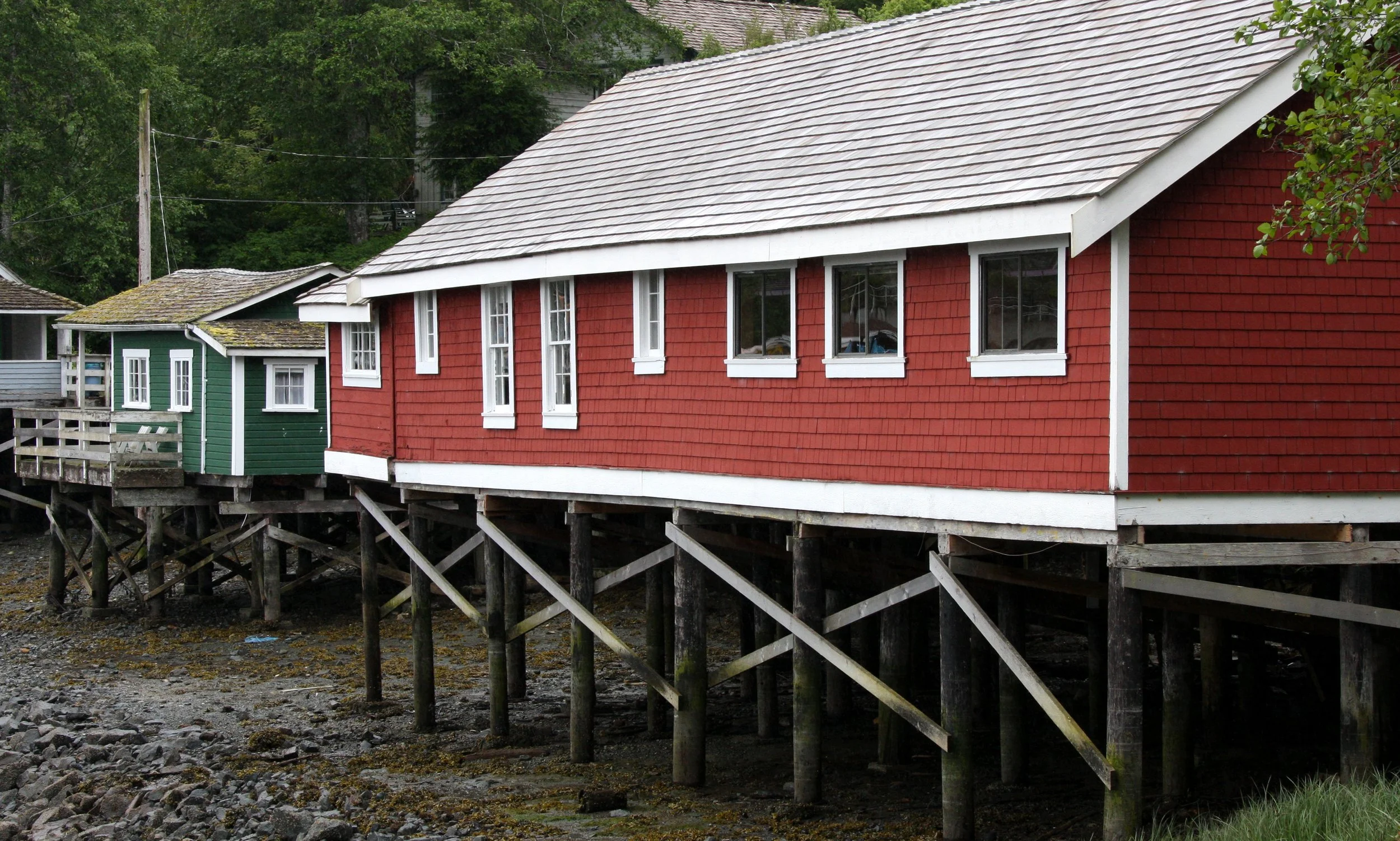 TELEGRAPH COVE BC (5).JPG