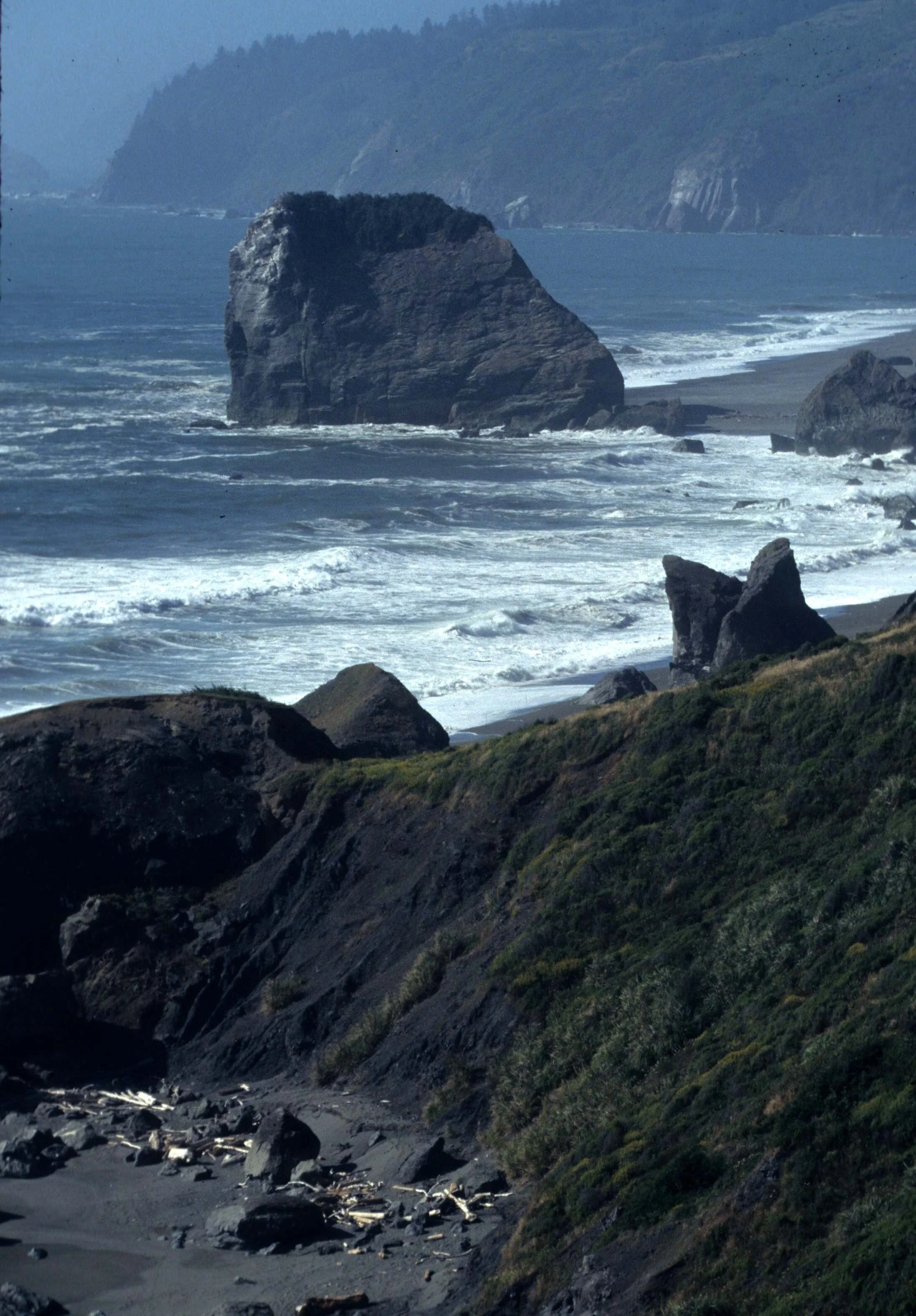 CALIFORNIA - REDWOODS NP - VIEWS (4).jpg