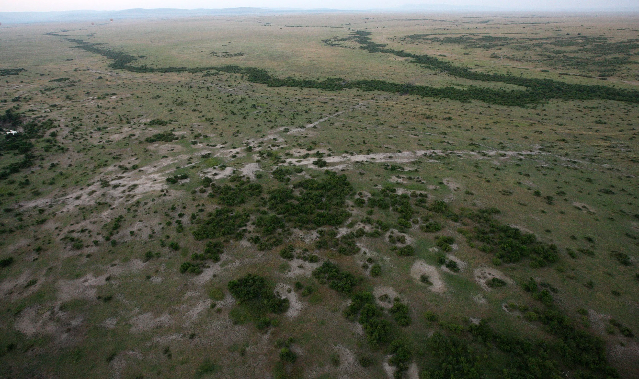 MASAI MARA NATIONAL PARK KENYA (56).JPG