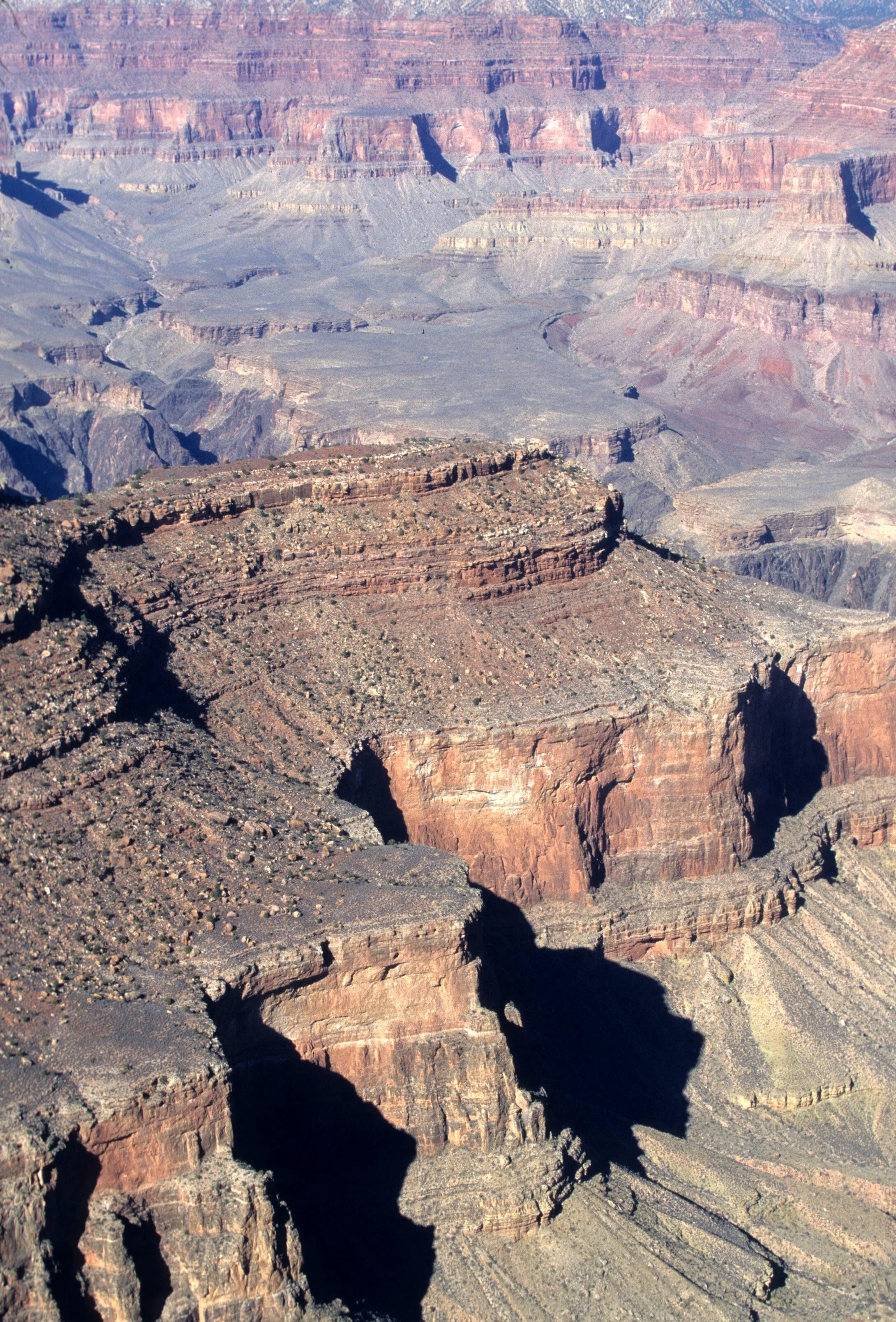 ARIZONA - GRAND CANYON NATIONAL PK (4).jpg