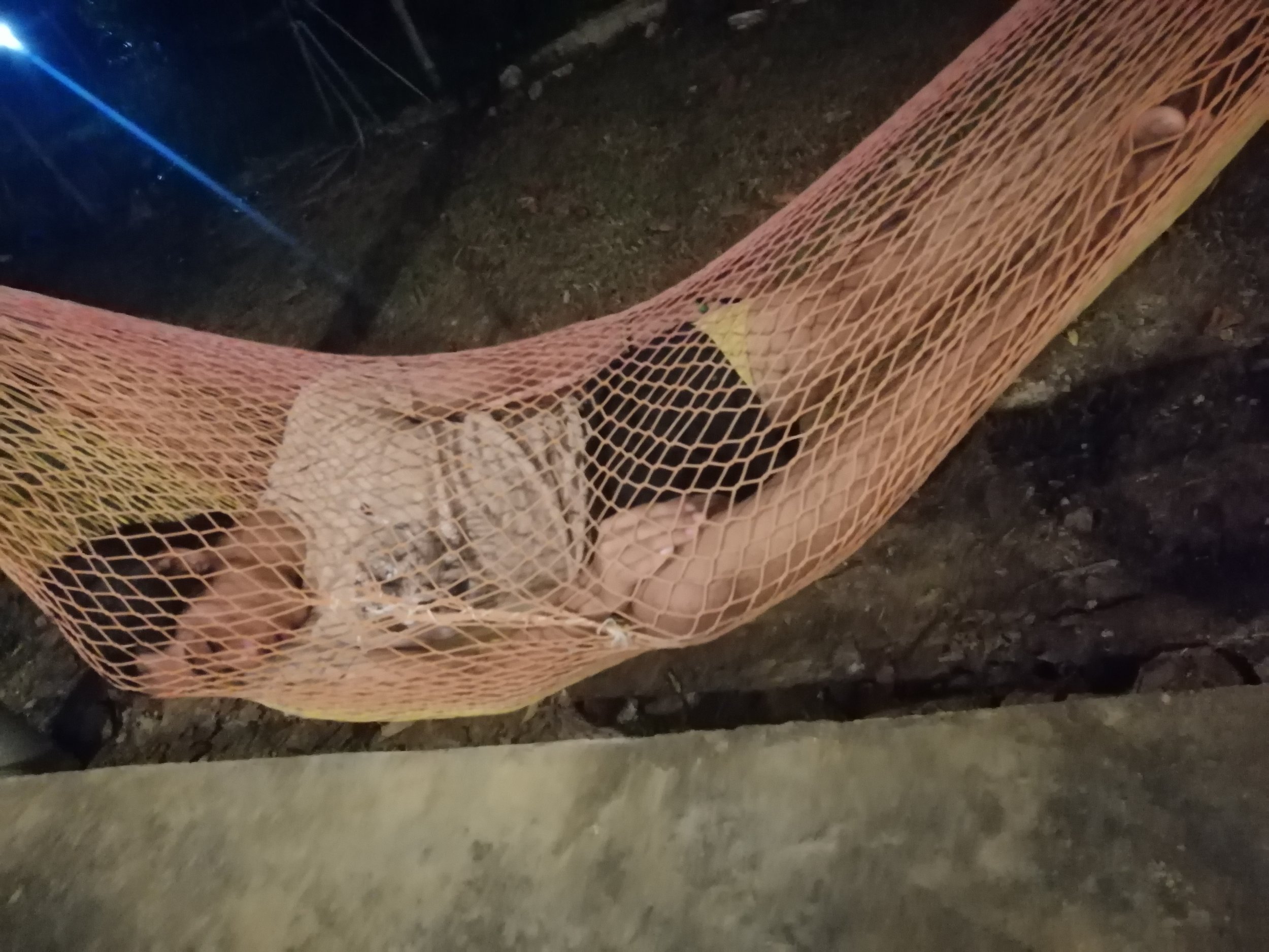 2019 Koh Lanta Summer Trip (91).jpg