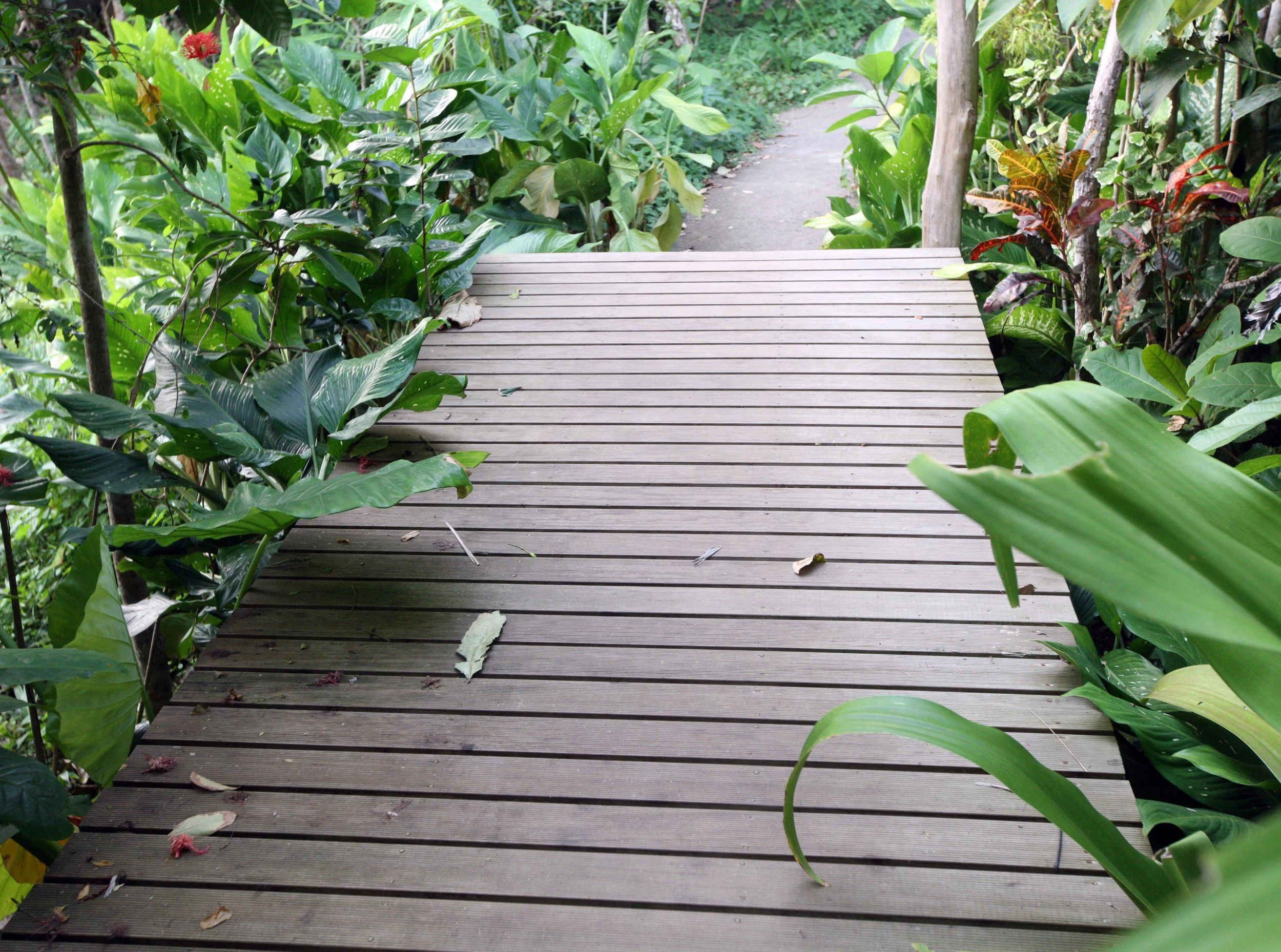 2015 Koh Lanta Build and Fun (70).JPG