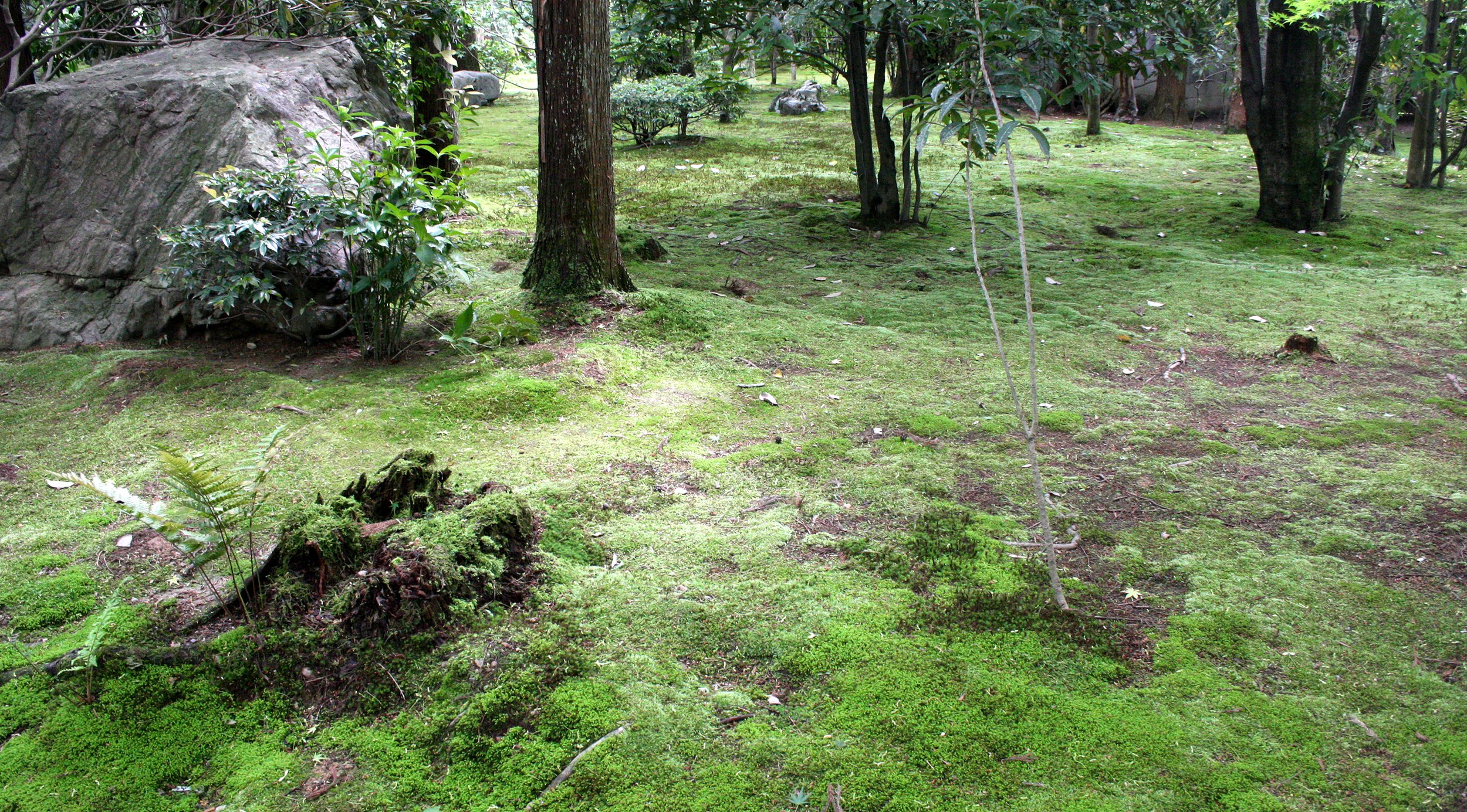 KYOTO - MAY 2009 - RYOANJI MOSS GARDENS.JPG