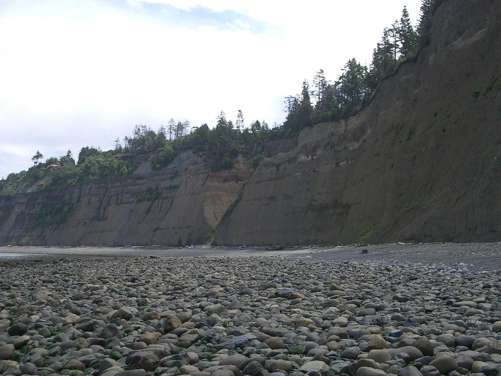 2004-6-12 LARRY AND KATRIS WEDDING IN EUREKA CALIFORNIA (17).JPG