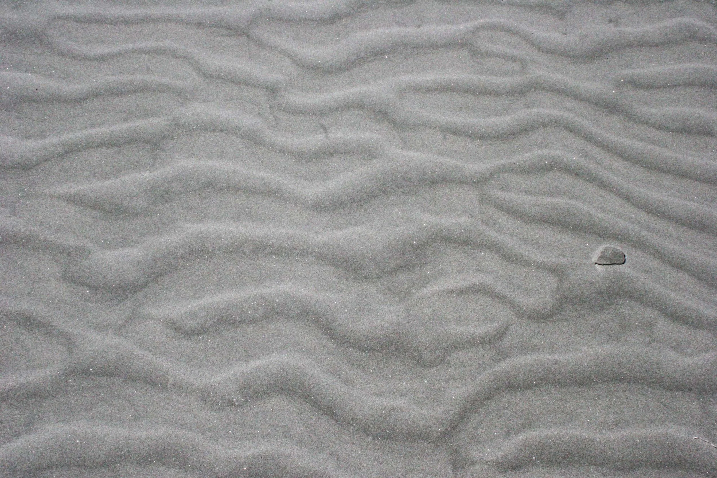 VIZCAINO BIOSPHERE RESERVE - SAN IGNACIO LAGOON BAJA MEXICO.JPG