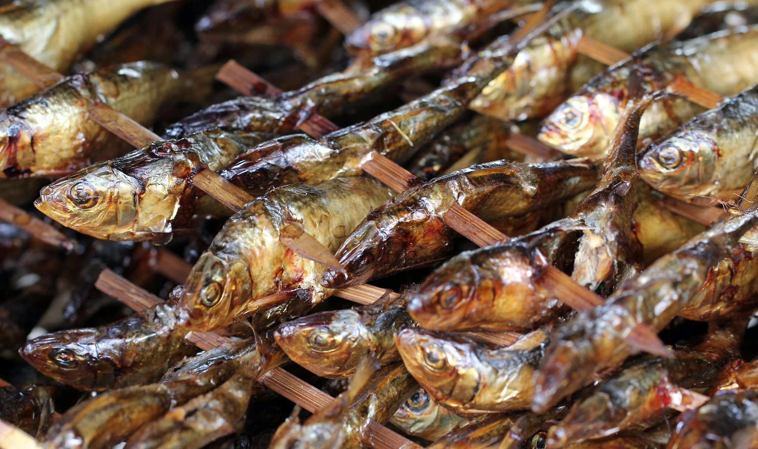 2015 Koh Lanta October Break Trip  (42).JPG