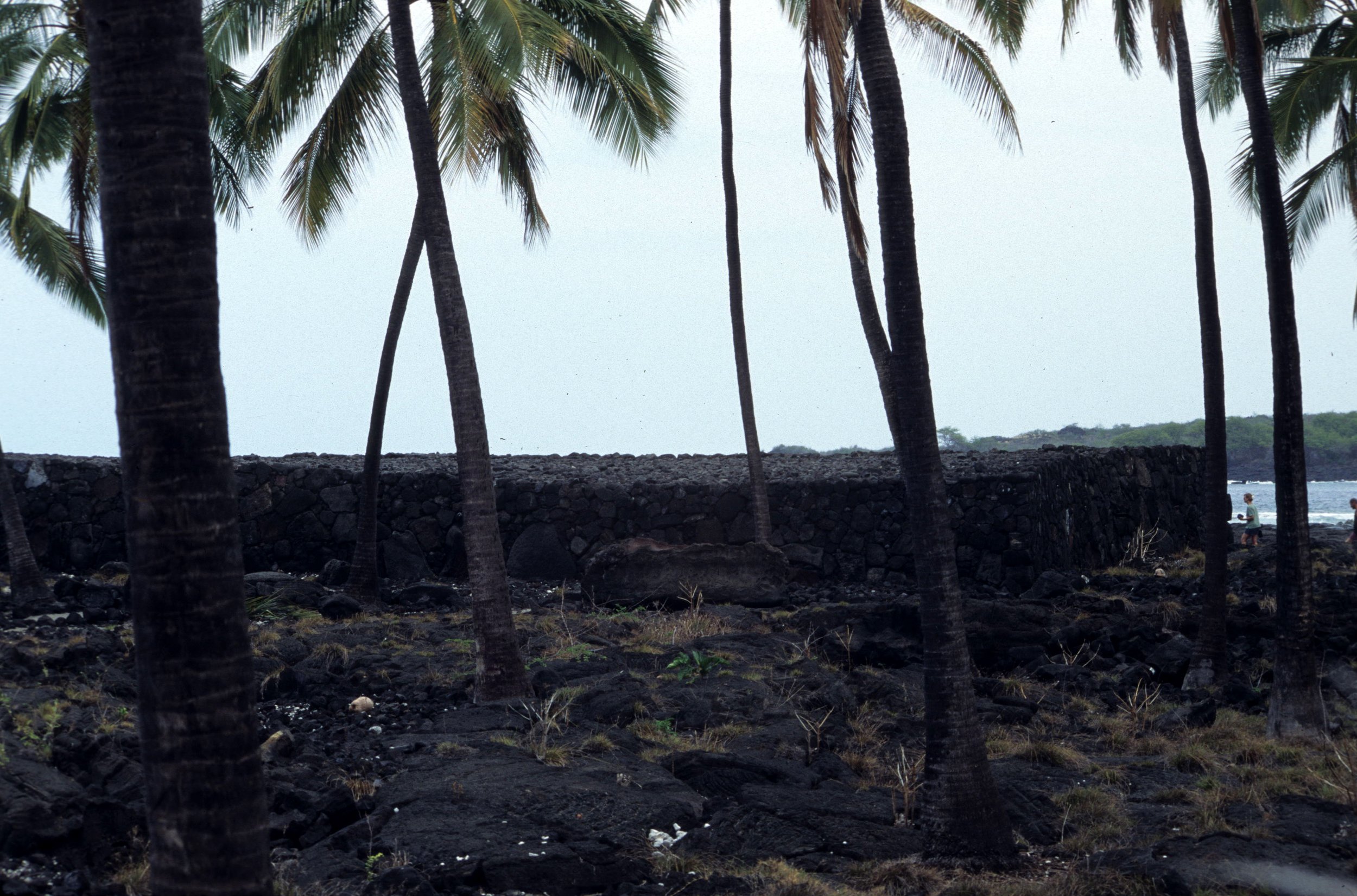 HAWAII - HAWAII - HEIAU (3).jpg