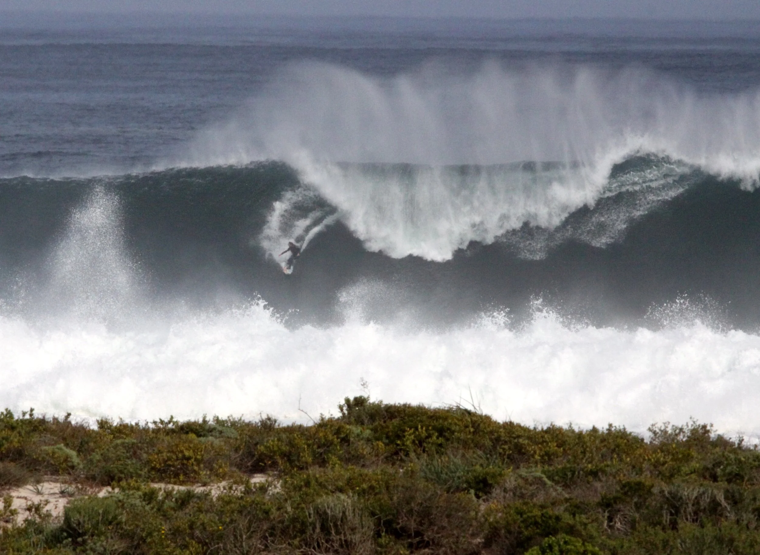 LAMBERT'S BAY SOUTH AFRICA - SURF'S UP! (23).JPG