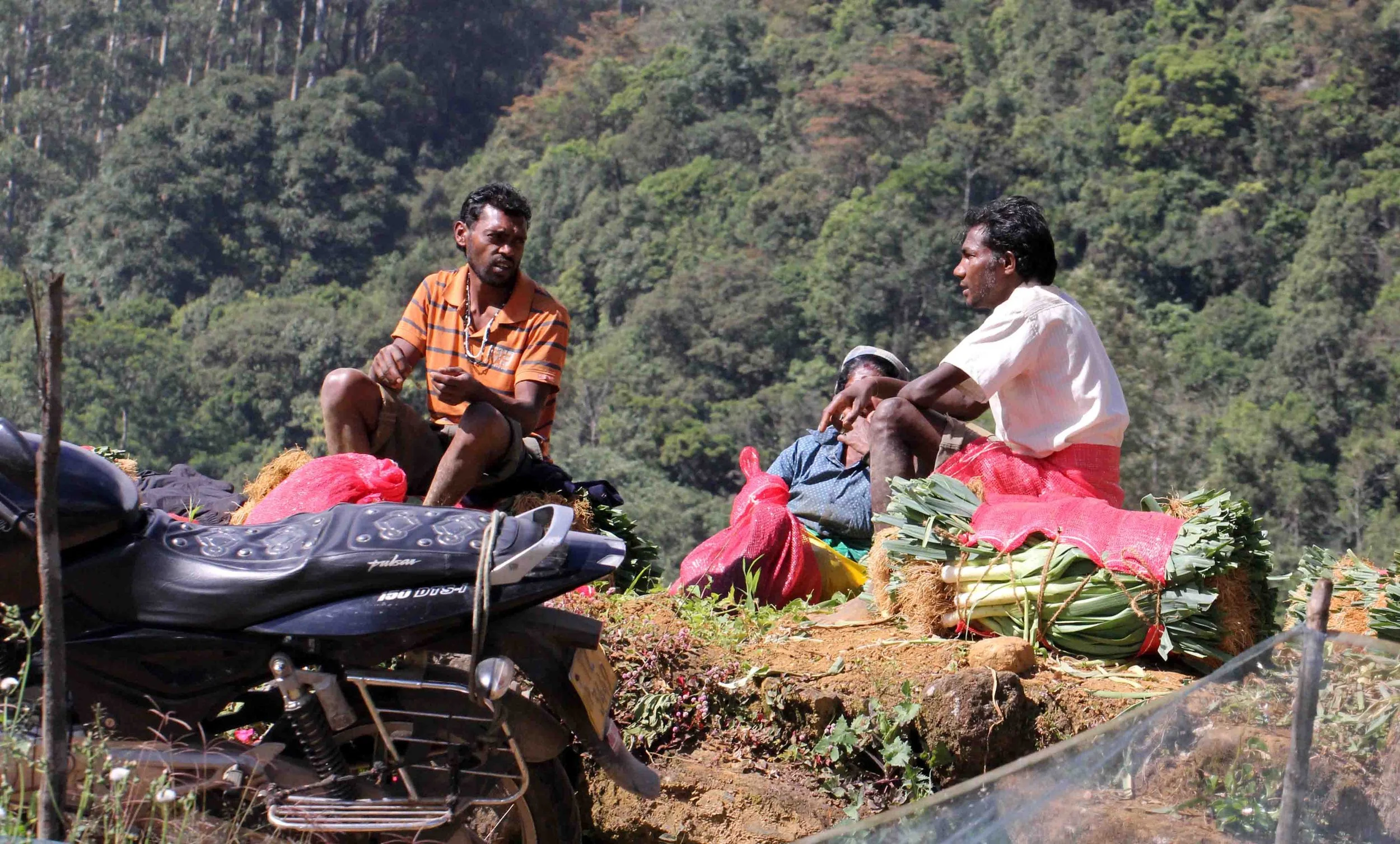 NUWARA ELIYA， HORTON PLAINS NATIONAL PARK,  SRI LANKA (52).JPG