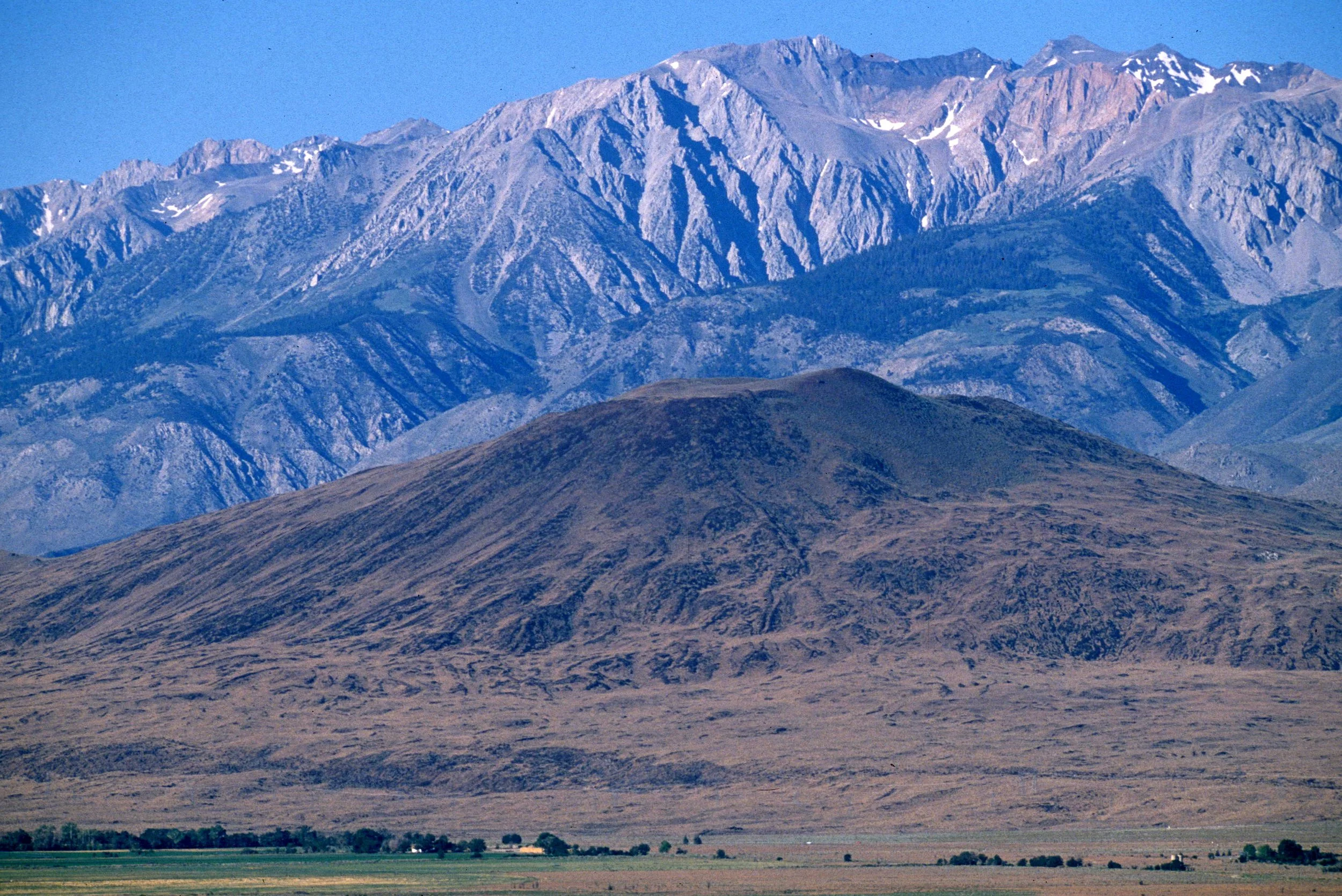 CALIFORNIA - SIERRA - EAST SIDE WITH ELK (3).jpg