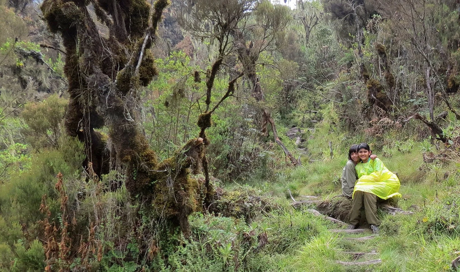 RWENZORI NATIONAL PARK UGANDA (143).JPG