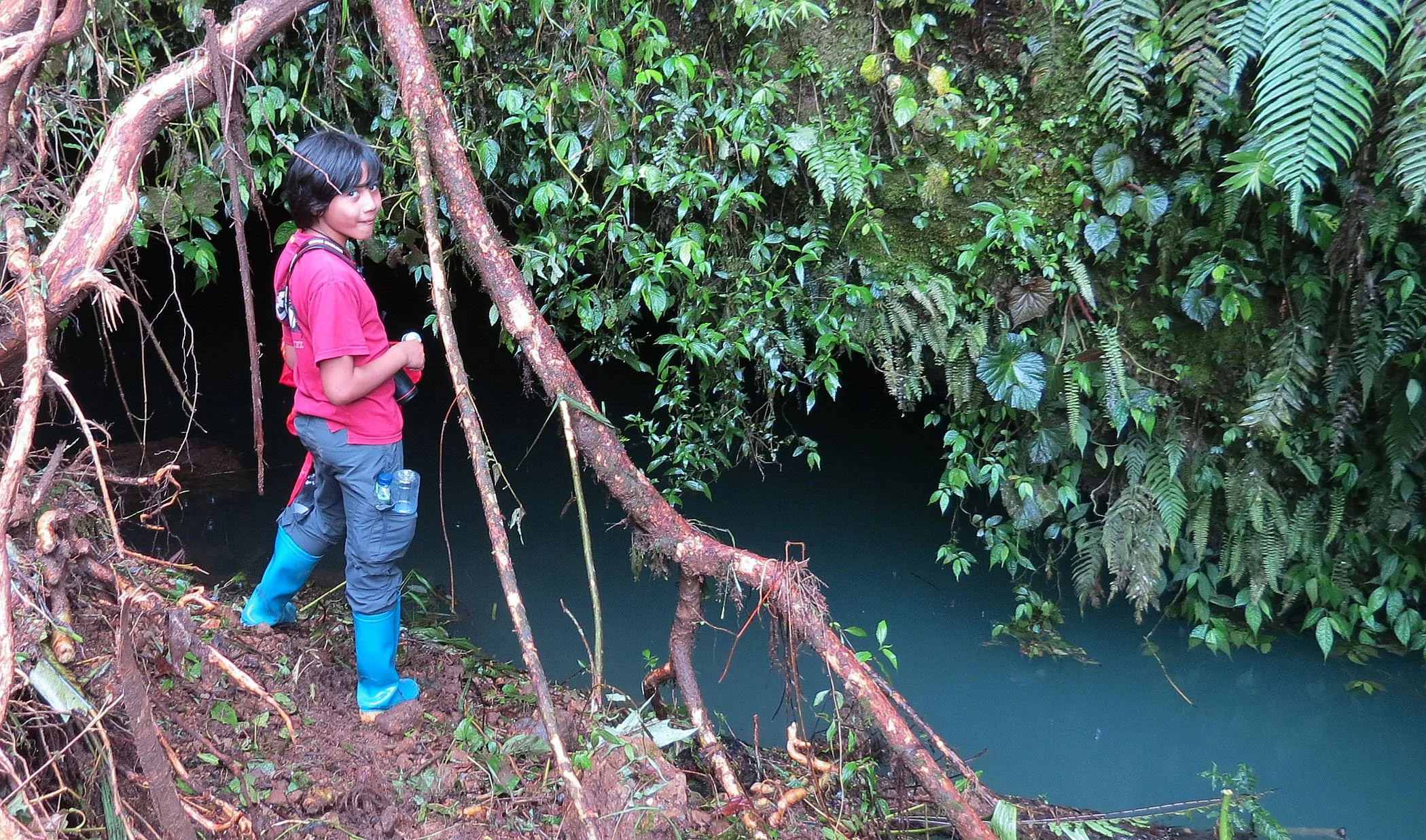 GEDE NATIONAL PARK - JAVA BARAT INDONESIA (26).JPG