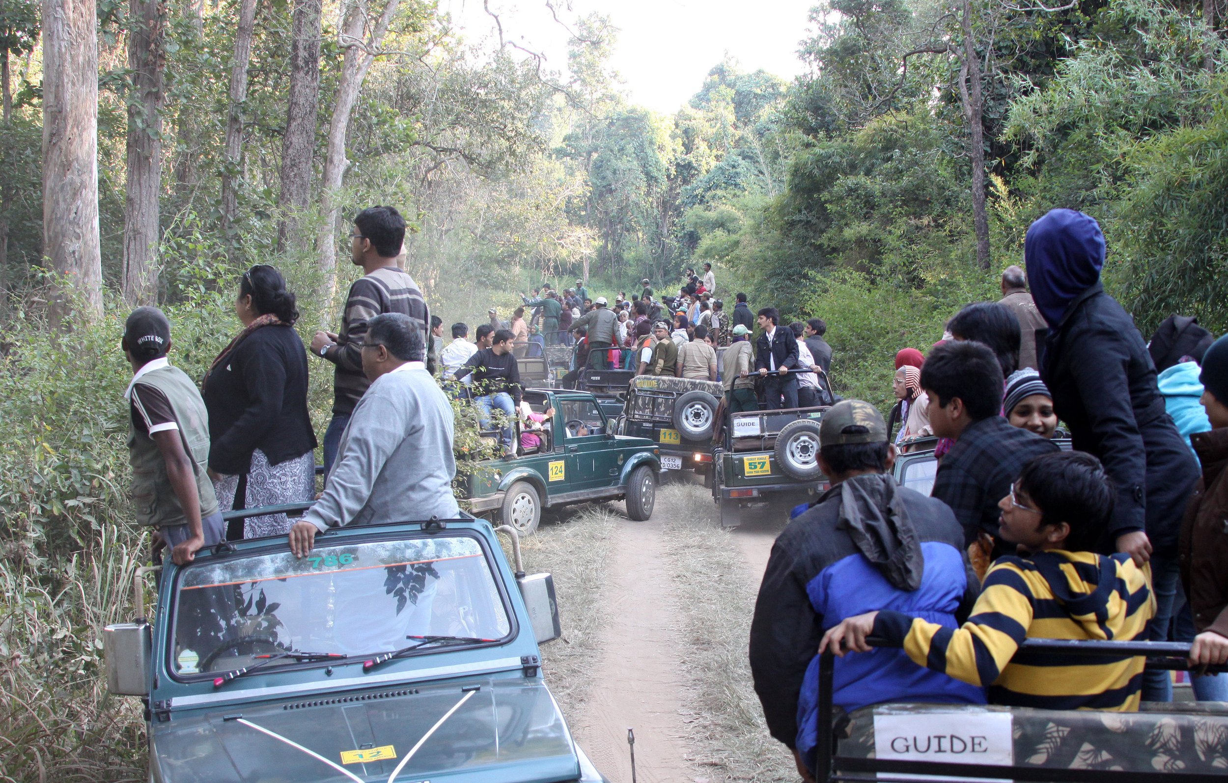 MADHYA PRADESH - KANHA NATIONAL PARK INDIA (1).JPG