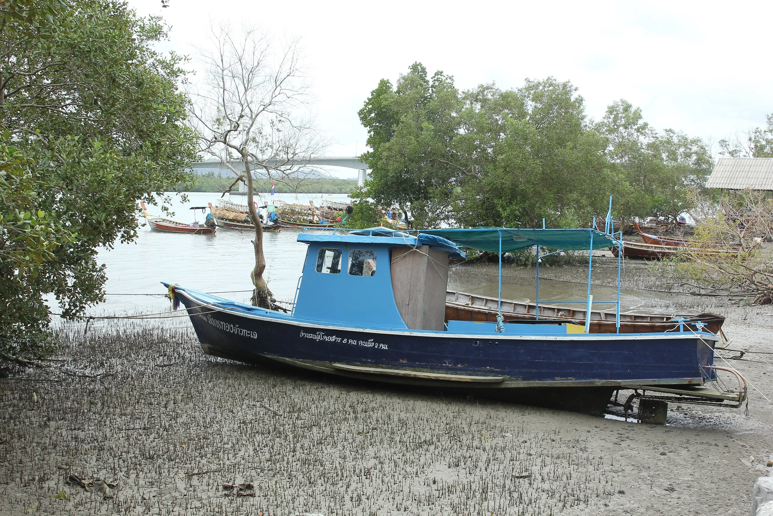 2017 Koh Lanta Northern Chao Le Village near Saladan (4).JPG