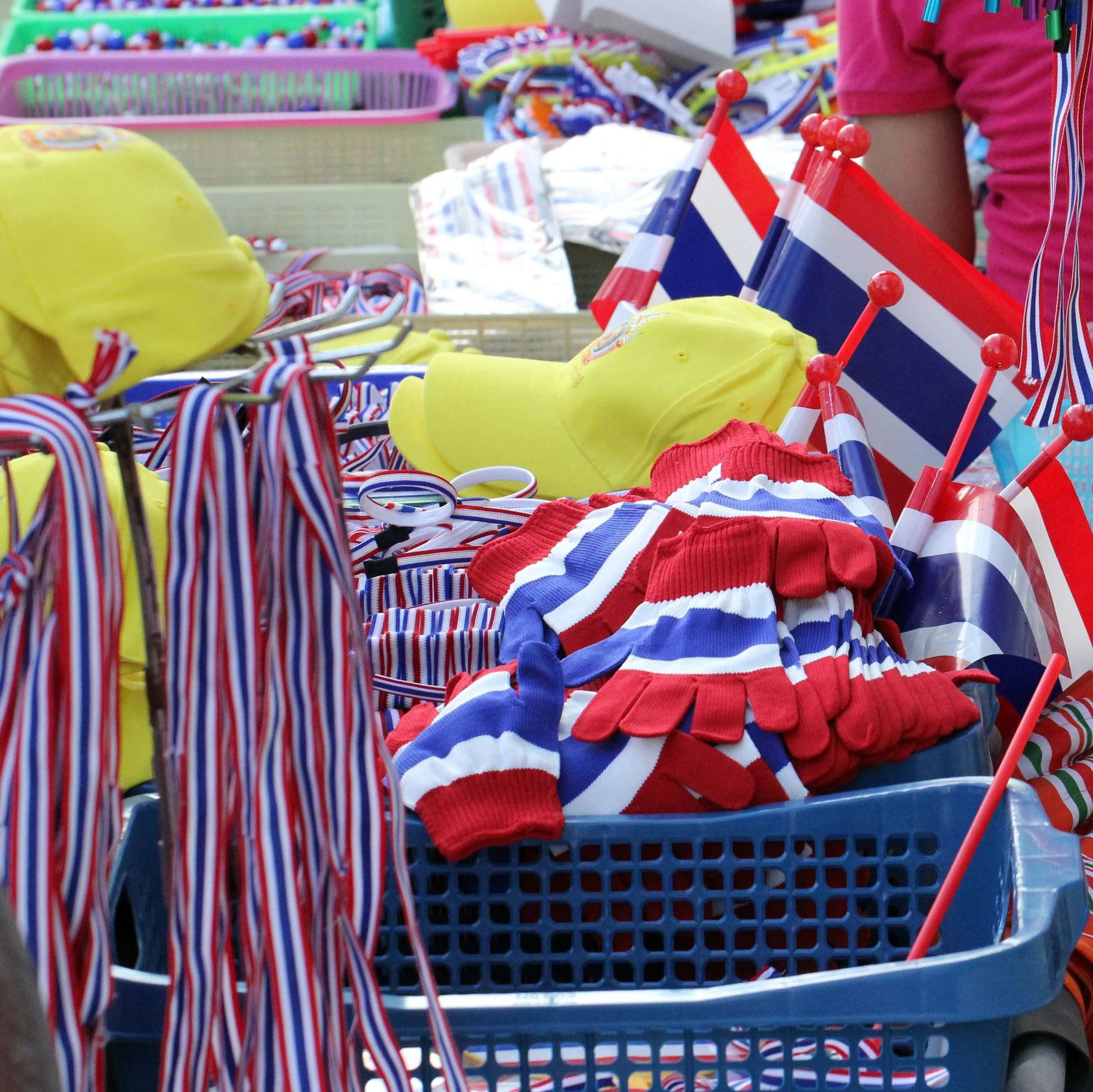 2014 Bangkok SHUTDOWN BANGKOK 2014 (126).JPG