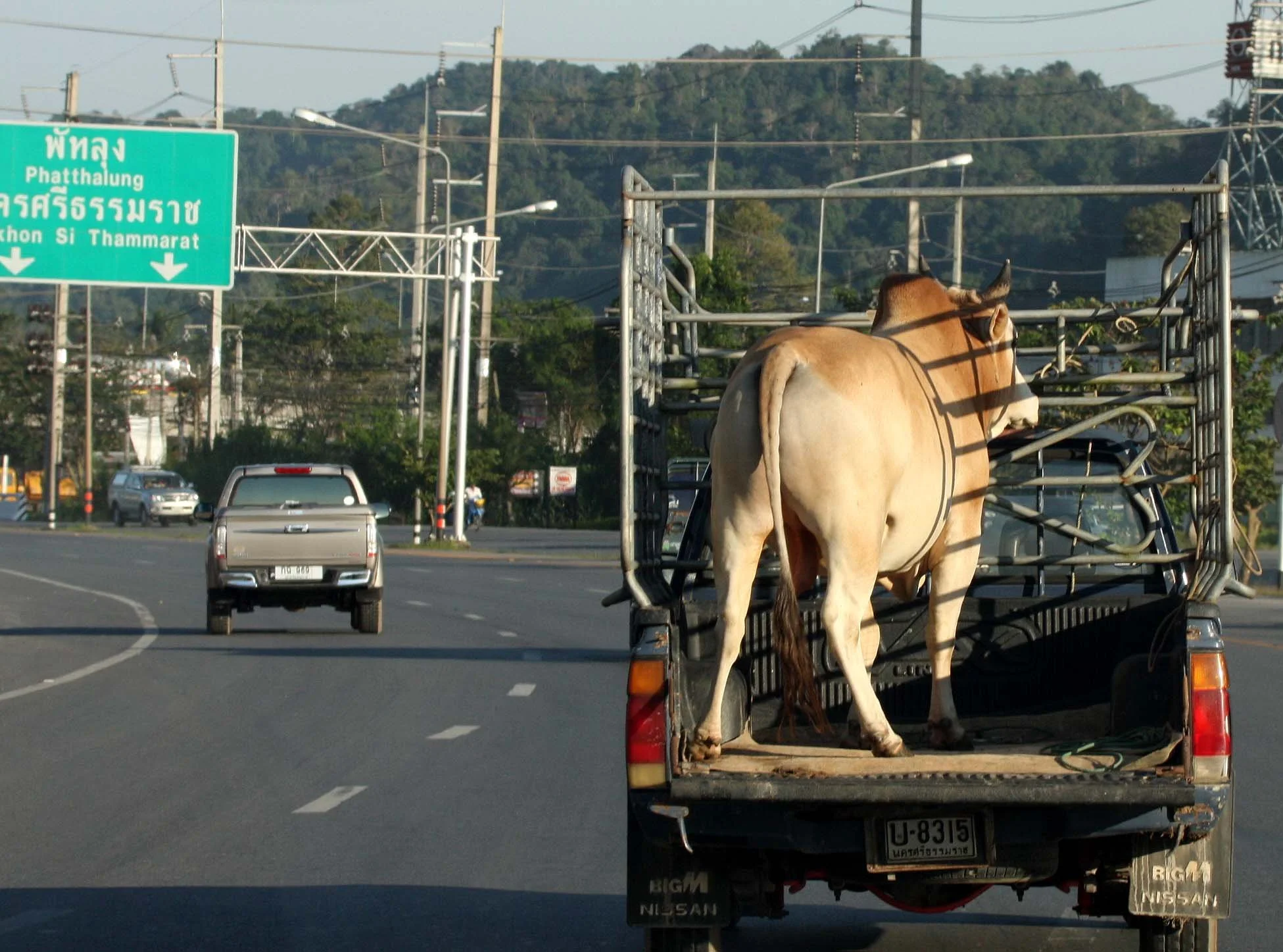 2009 Nakhonsithammarat Thailand with Family & Floods (3).JPG