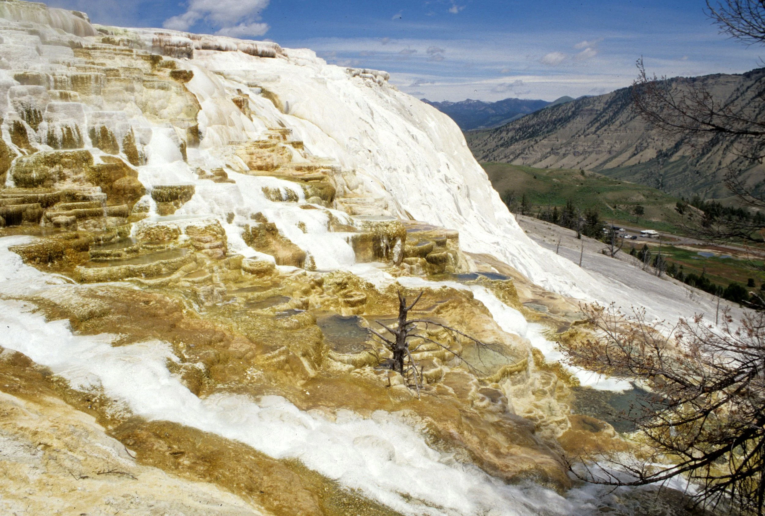 YELLOWSTONE - MAMMOTH HOTSPRINGS Y.jpg