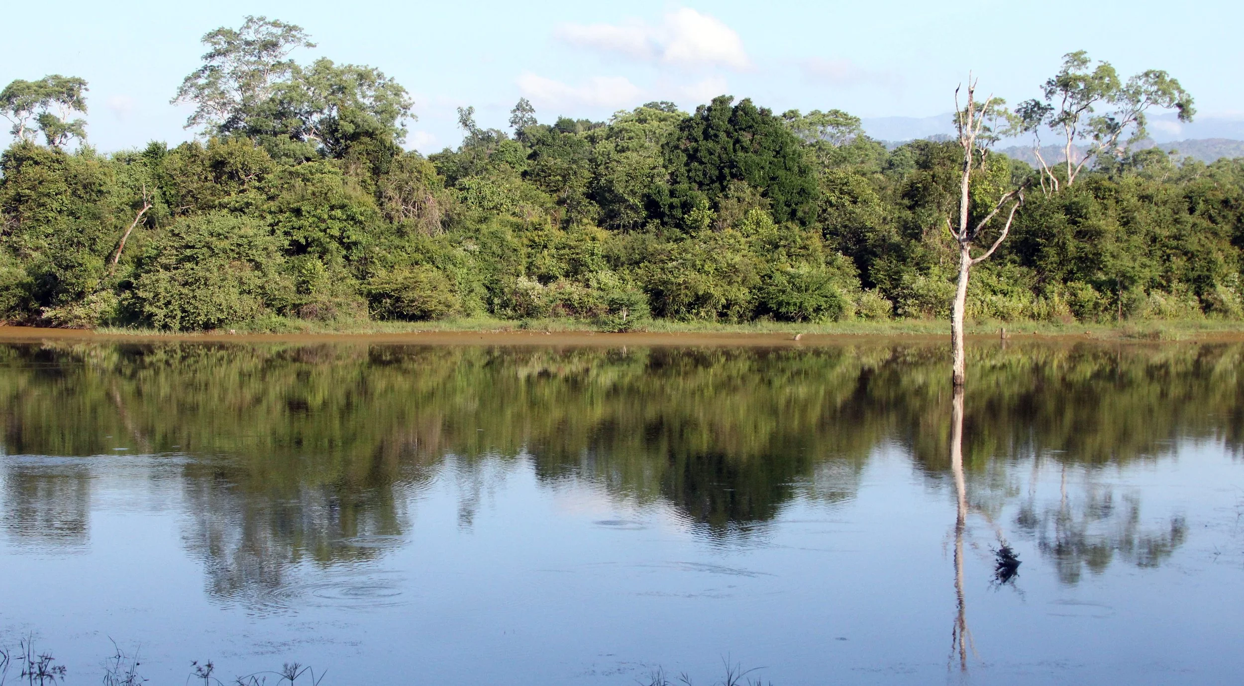 UDAWALAWA NATIONAL PARK SRI LANKA (19).JPG