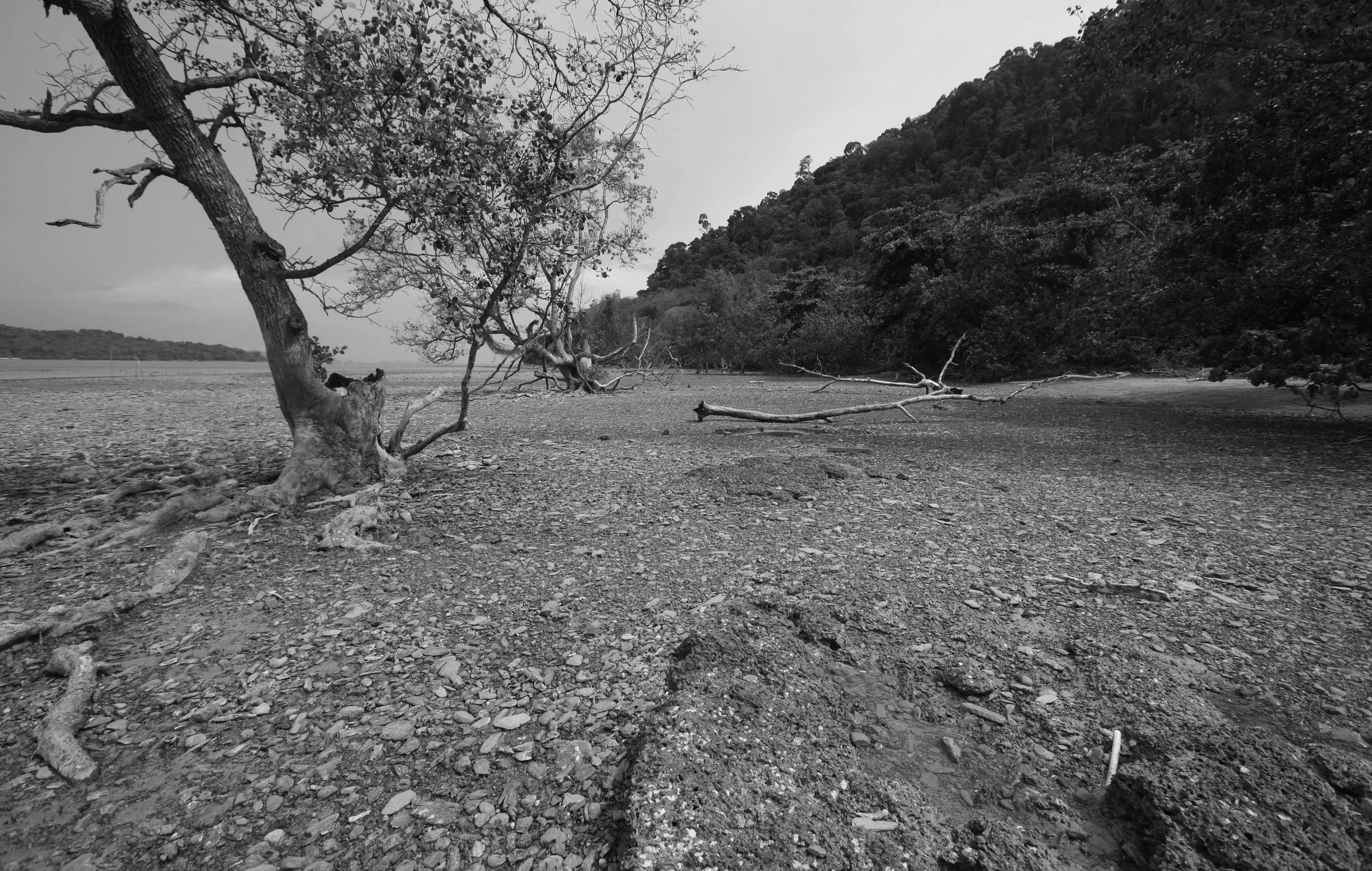 2015 Koh Lanta Songkran with friends from ISB (85).jpg