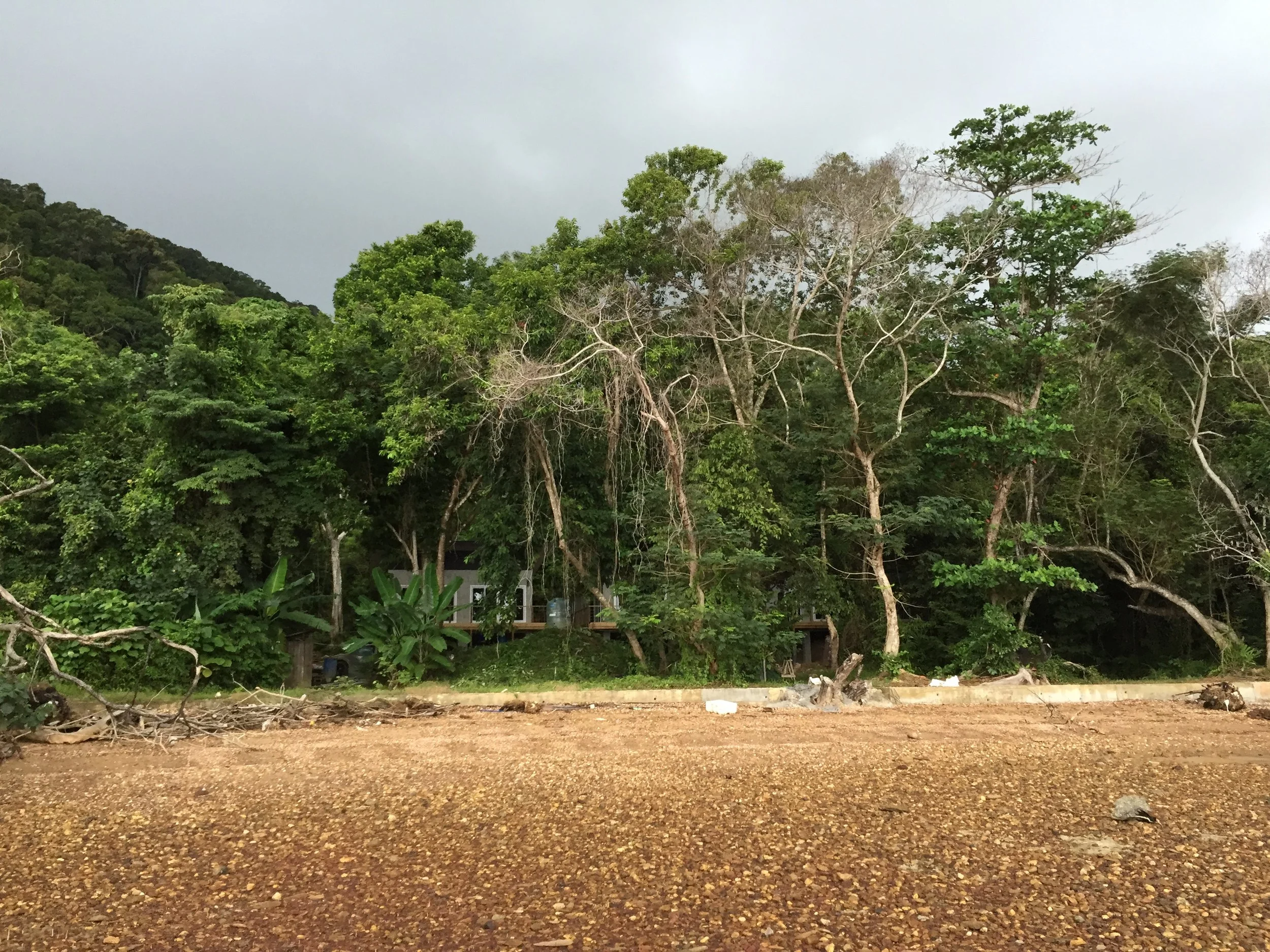 2015 Koh Lanta Garden & Nature (241).JPG