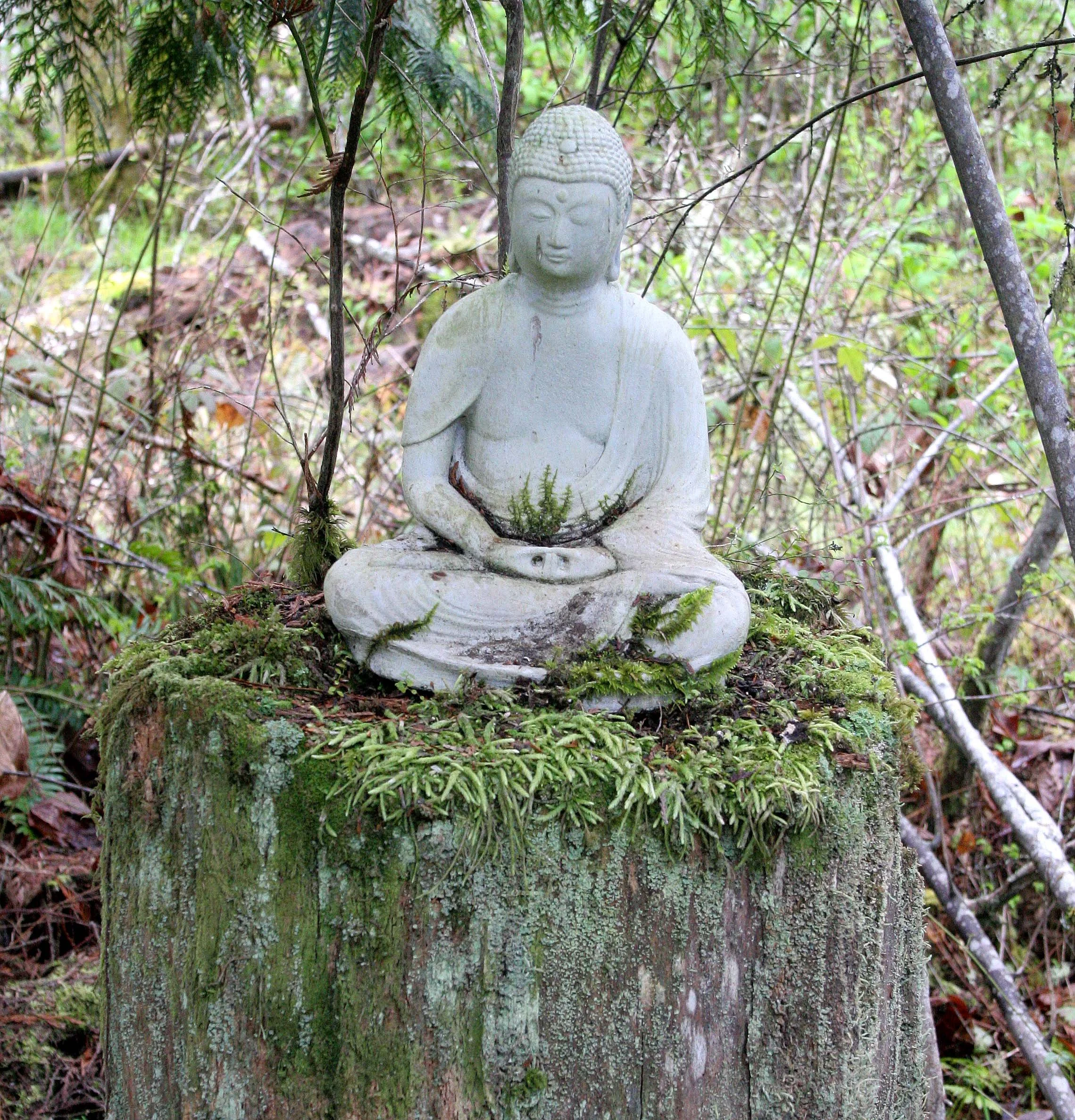 2008-4-19 LAKE FARM TRAILS WALK (32).JPG