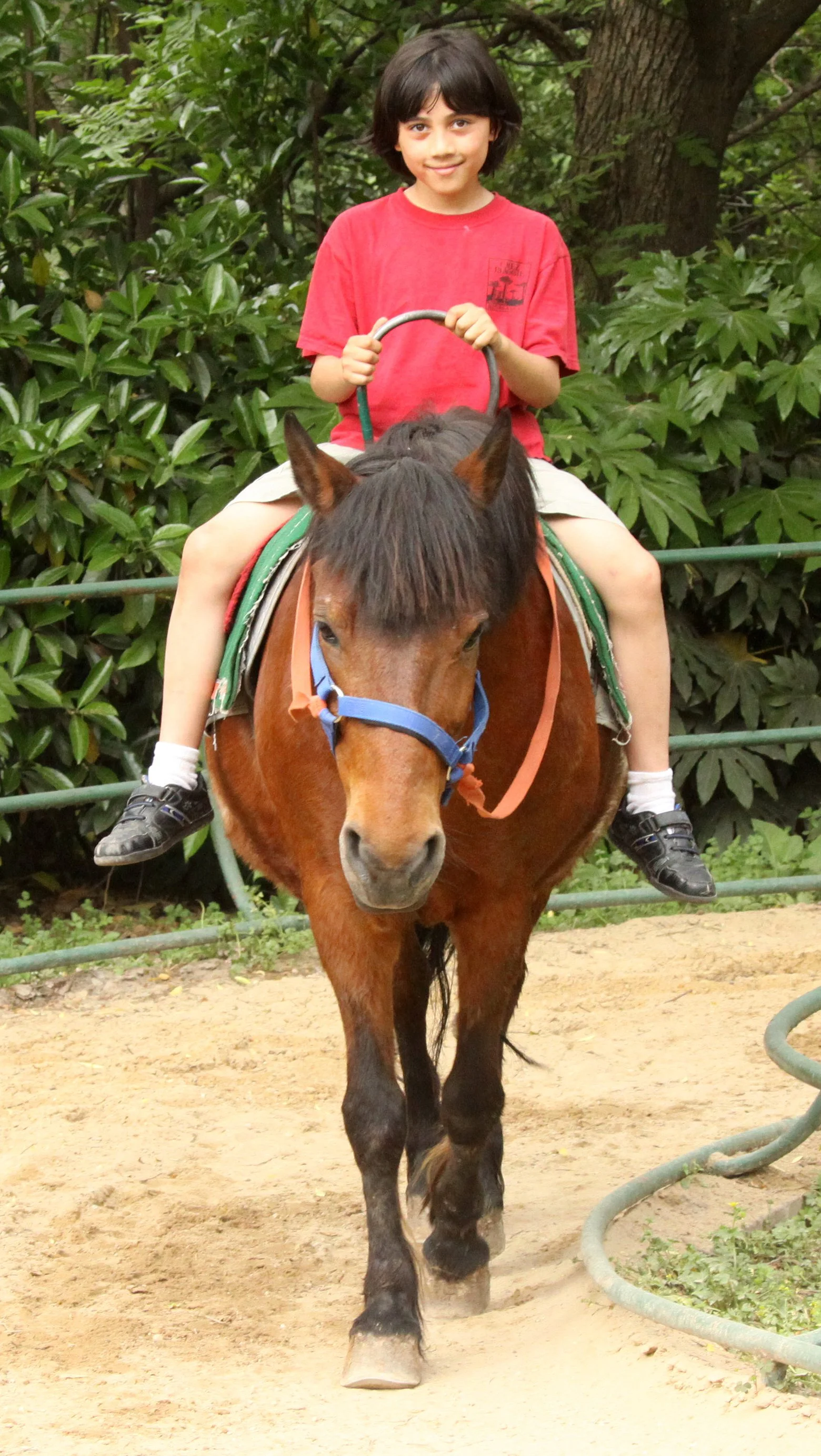 2011-5-6 SHANGHAI ZOO (4).JPG