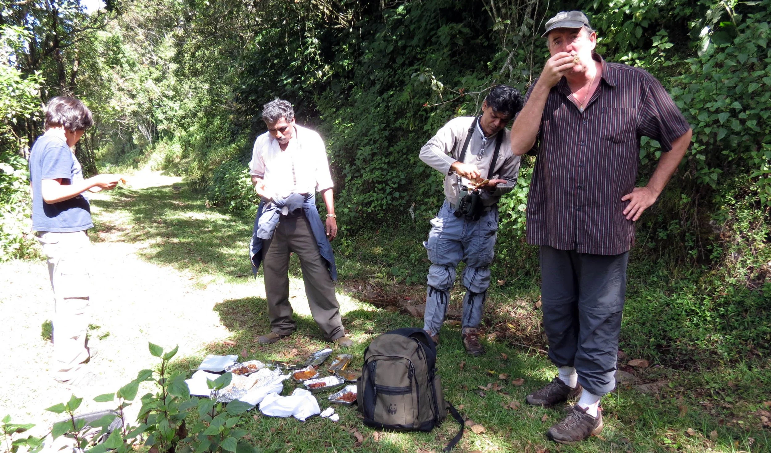 PAMPADUM SHOLA NATIONAL PARK INDIA - VATTAVADA (49).JPG