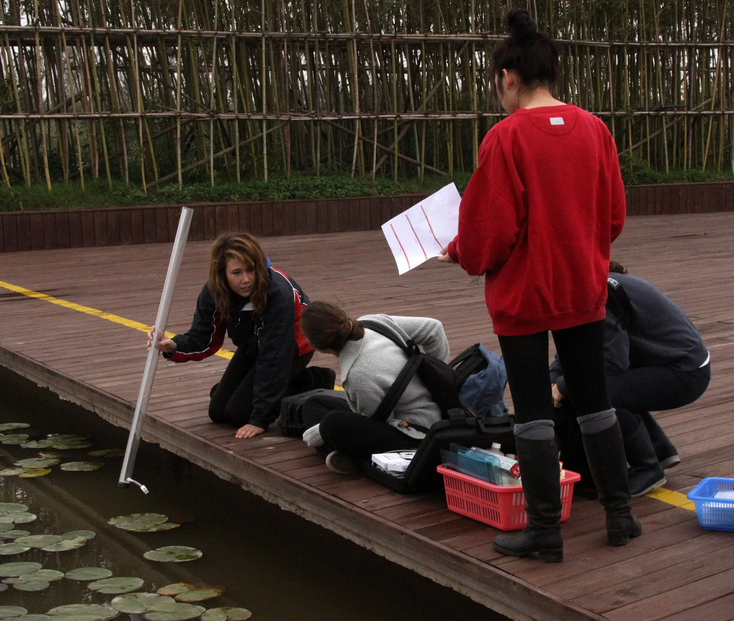 CHONGMING ISLAND DONGTAN WETLANDS RESERVE FIELD TRIP 2011 (17).JPG