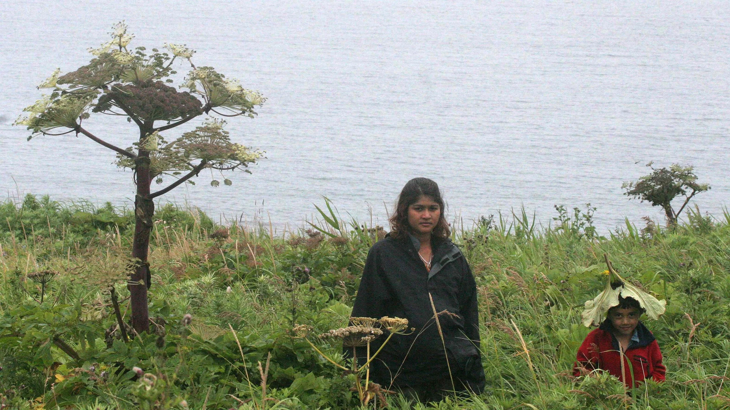 KURIL ISLANDS - FLORA  (89).jpg