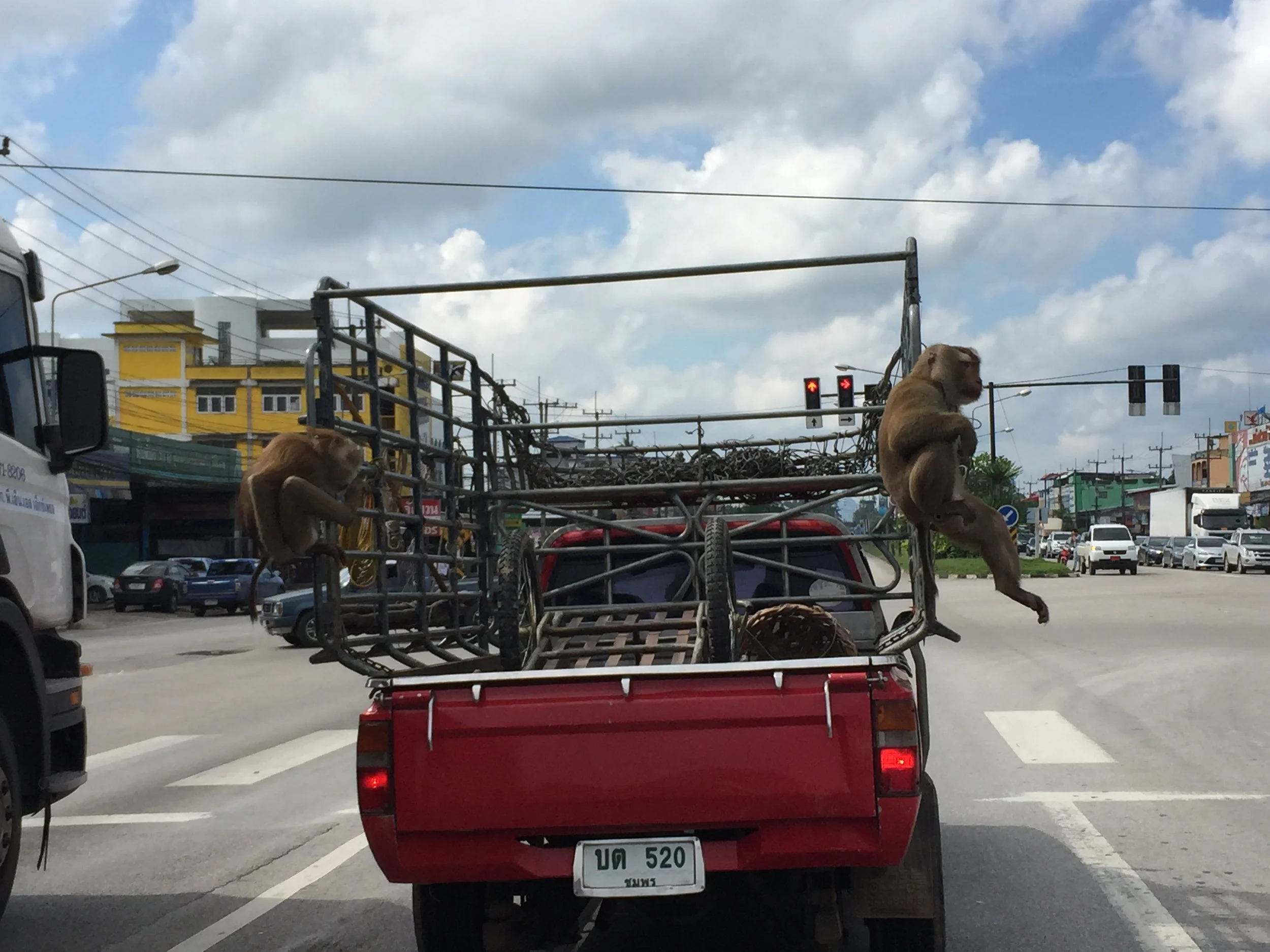 2015 Koh Lanta Road Trip Christmas Break (81).JPG