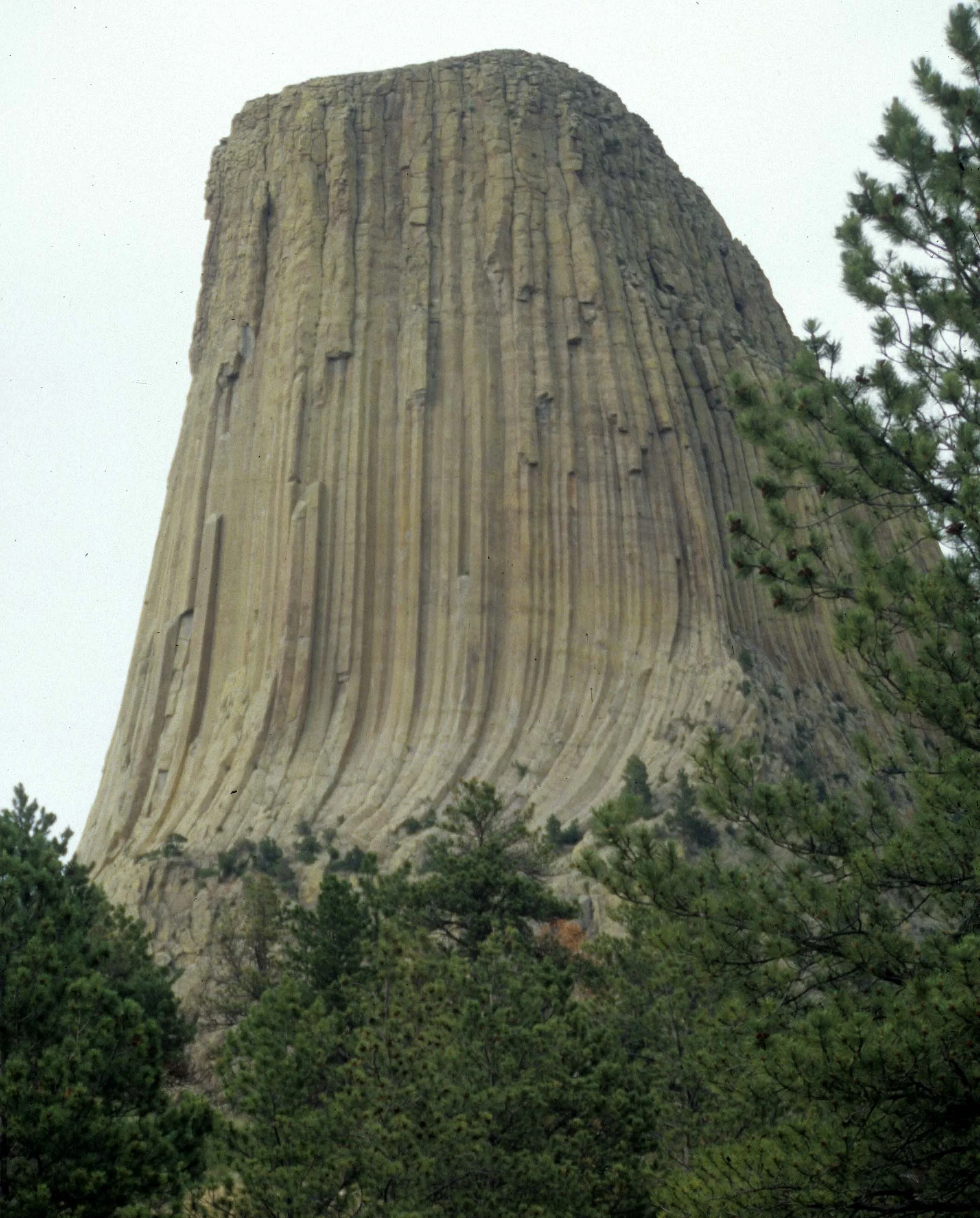 WYOMING - DEVILS TOWER NM B.jpg