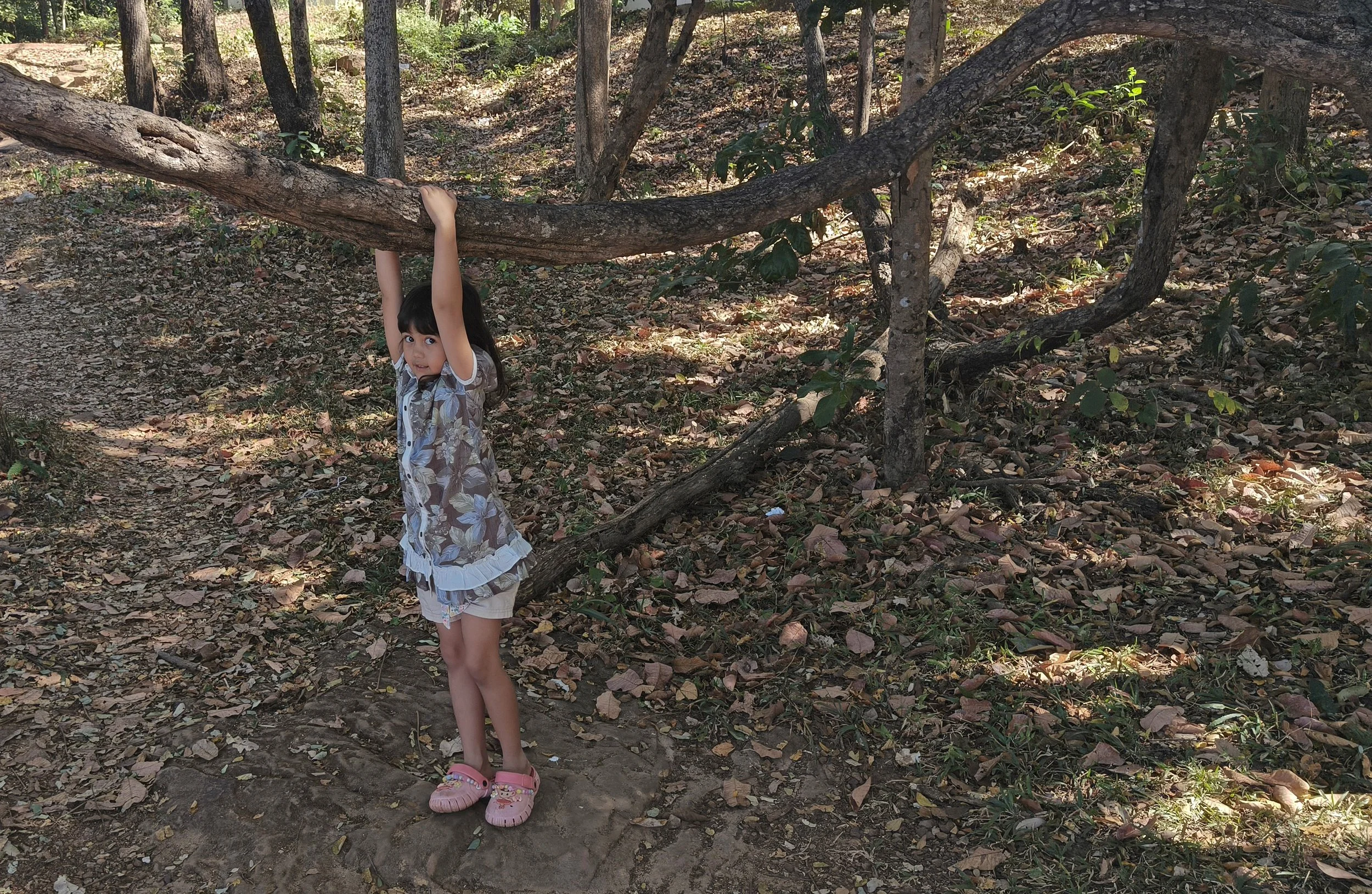 Phu Phan National Park - Kalasin Province (14).jpg